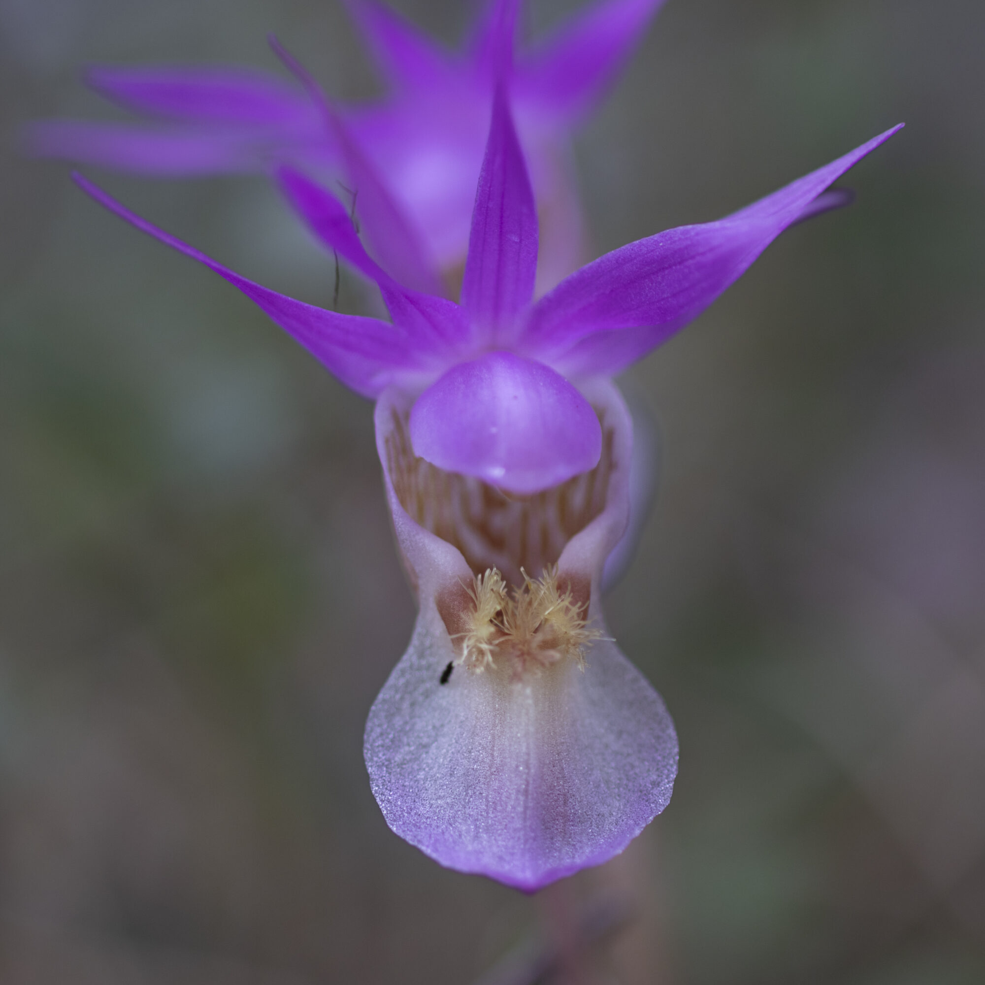 Valokuvaaja: Hannu Tikkanen