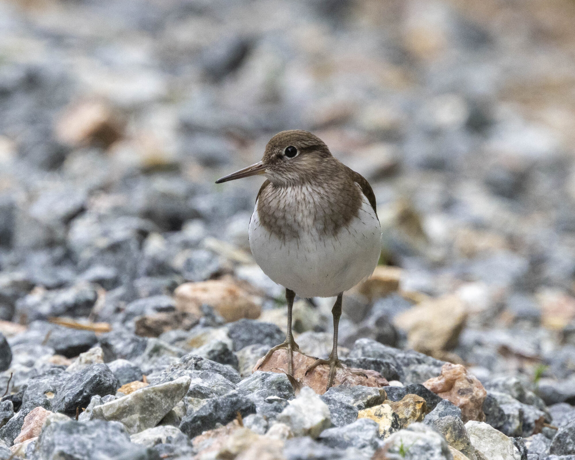 Valokuvaaja: Hannu Tikkanen Valokuvaaja: Hannu Tikkanen