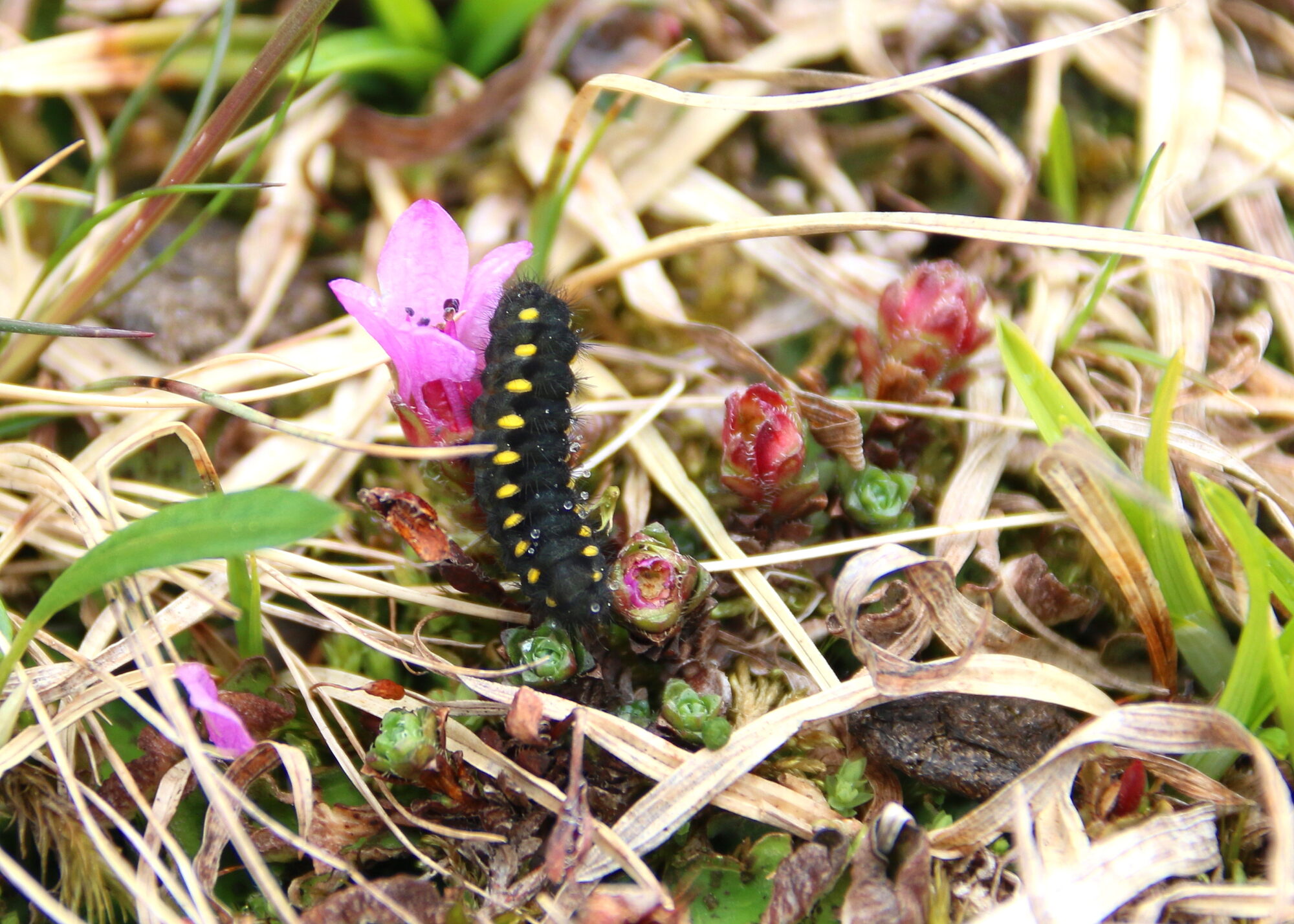 Valokuvaaja: Tuukka Pahtamaa