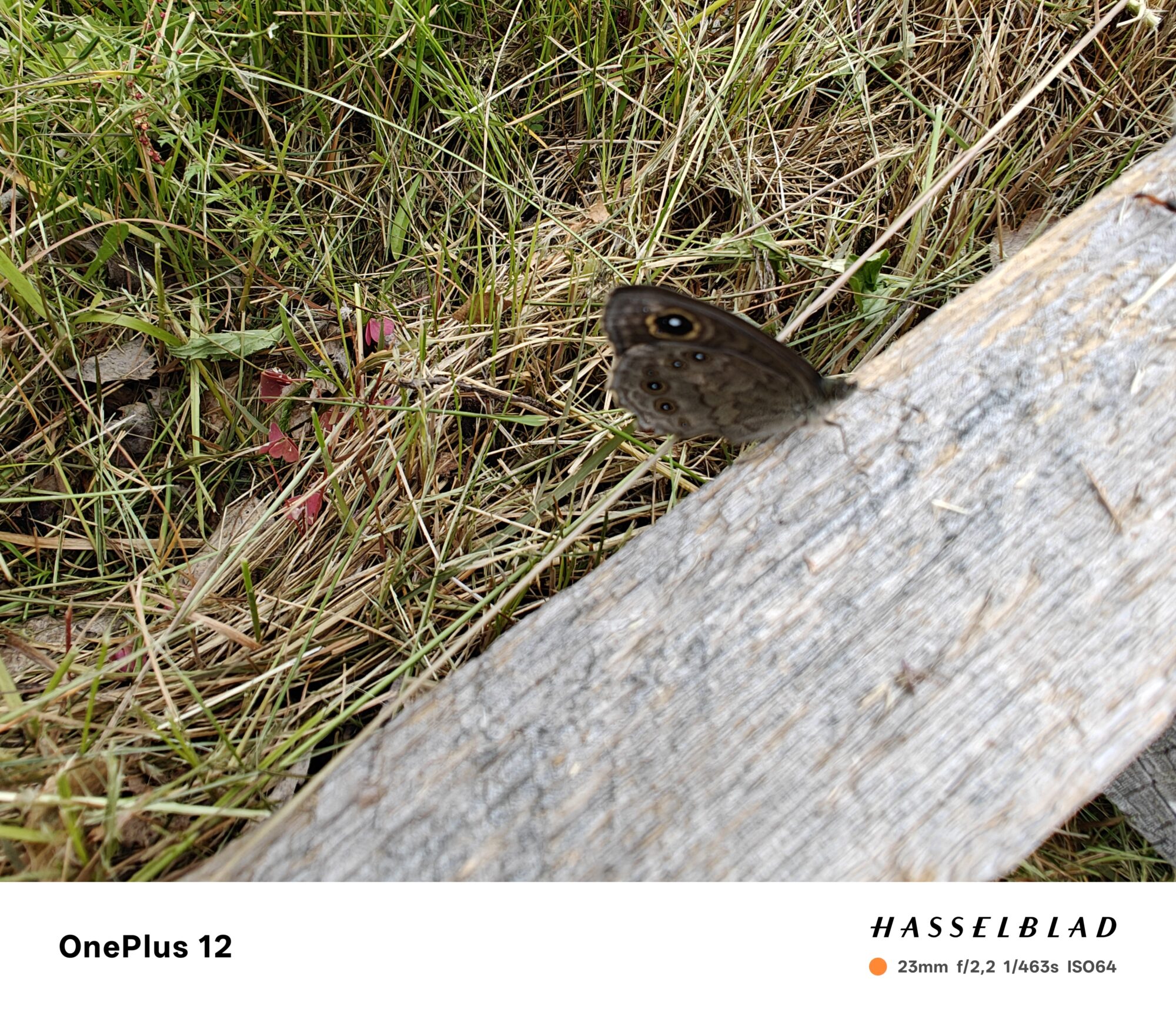 Valokuvaaja: Eija Johanna Saastamoinen