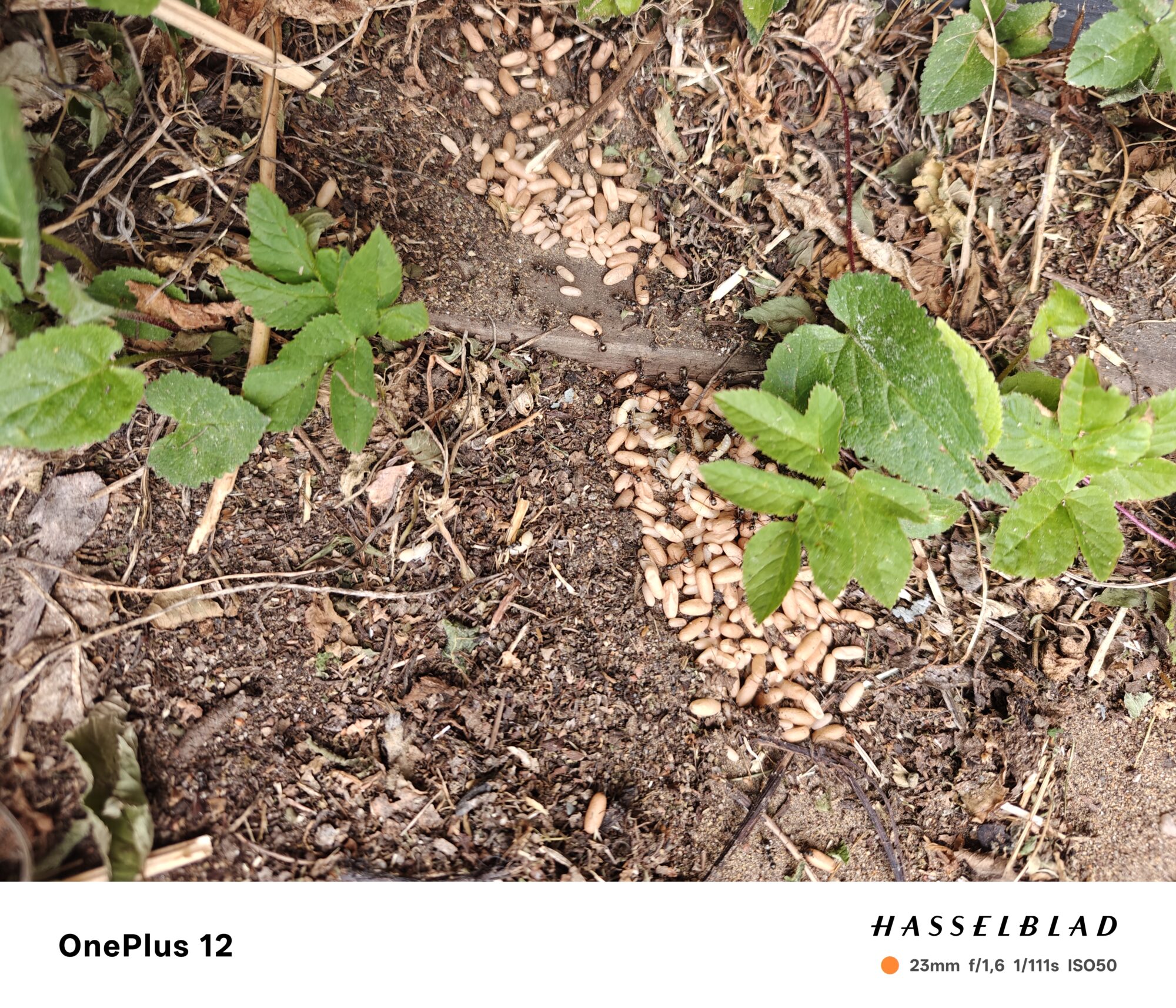 Valokuvaaja: Eija Johanna Saastamoinen