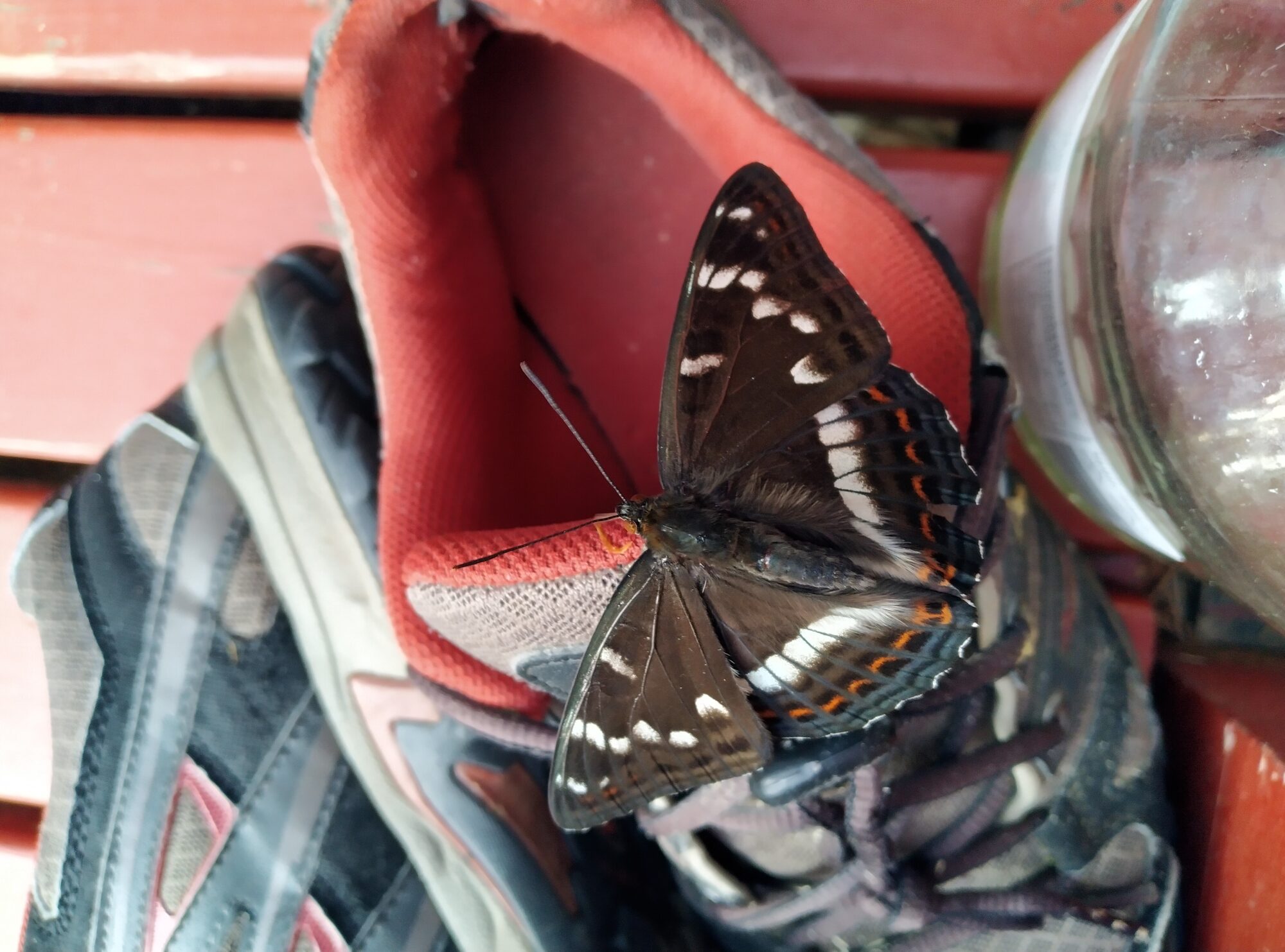 Valokuvaaja: Ritva Valkonen