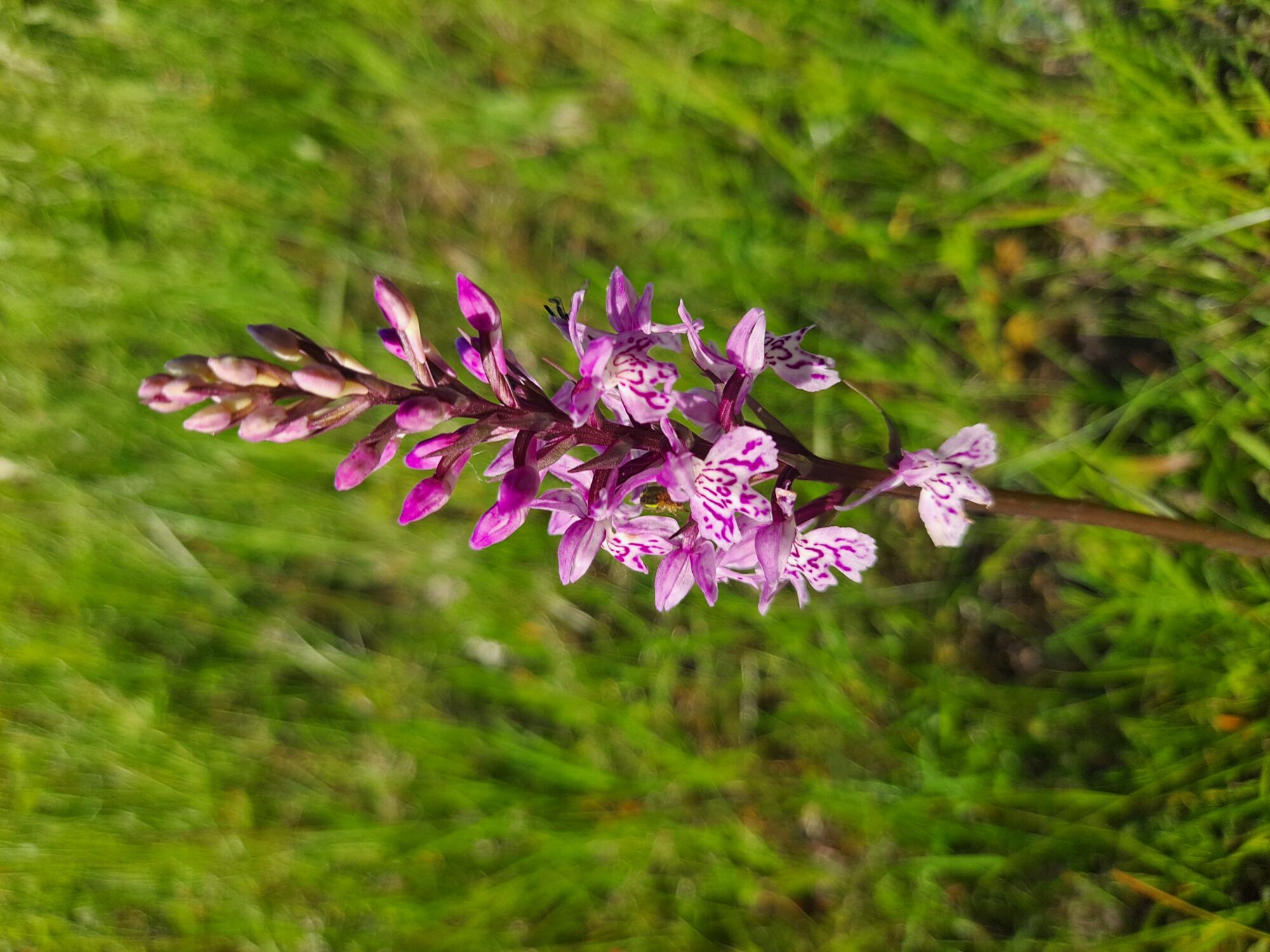 Valokuvaaja: Kai Liivamäe