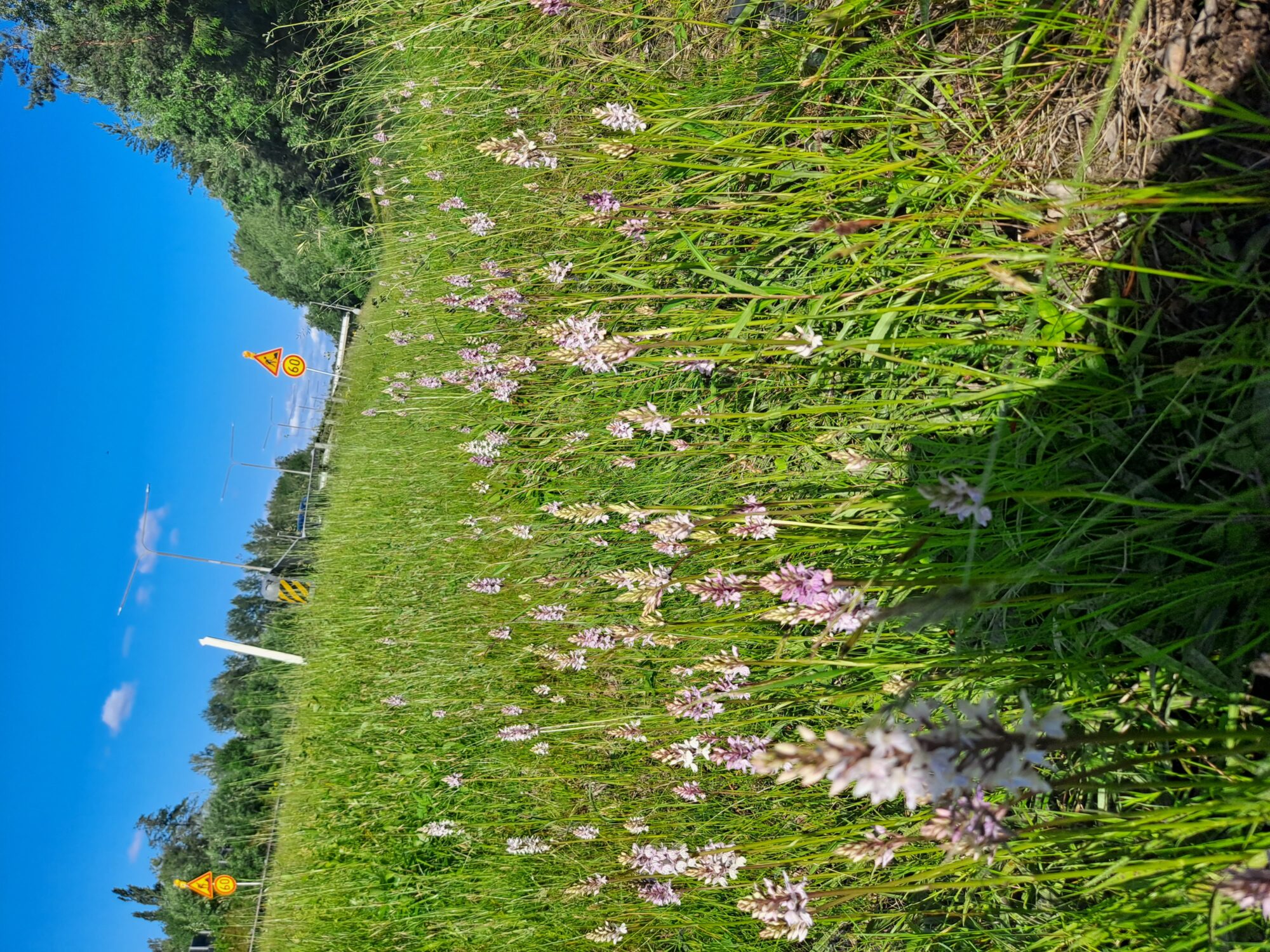 Valokuvaaja: Kai Liivamäe