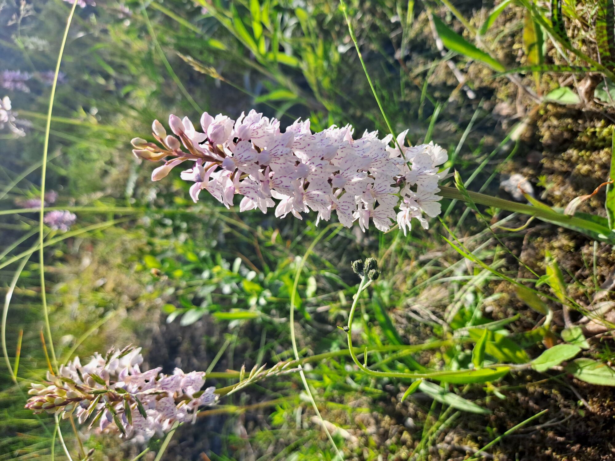 Valokuvaaja: Kai Liivamäe