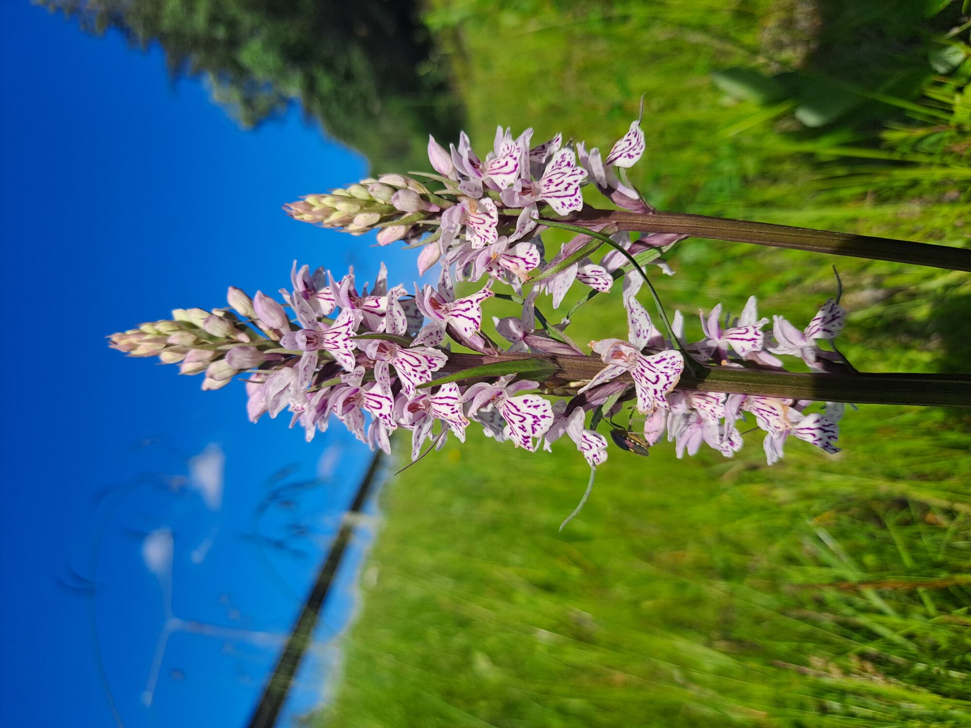 Valokuvaaja: Kai Liivamäe