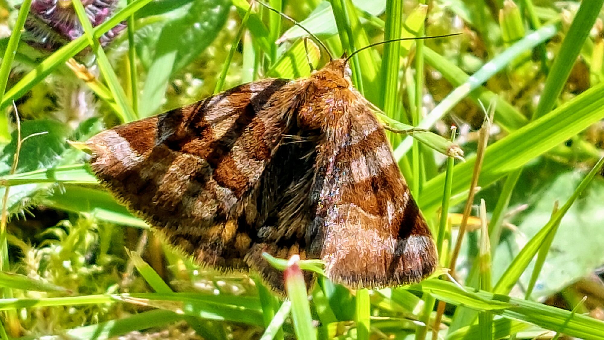 Valokuvaaja: Tarja Naukkarinen