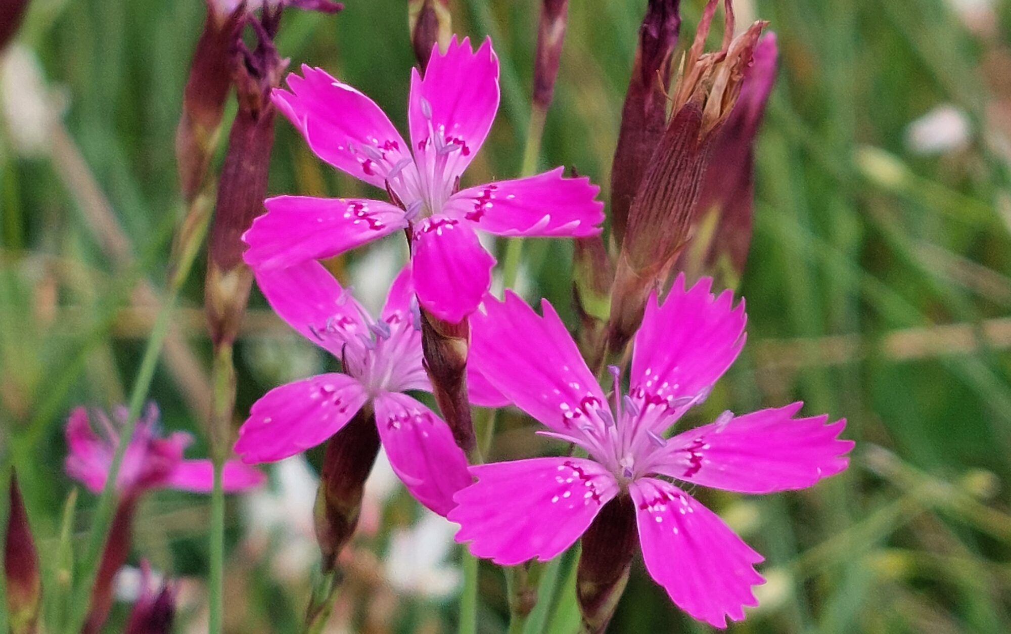 Valokuvaaja: Tarja Naukkarinen