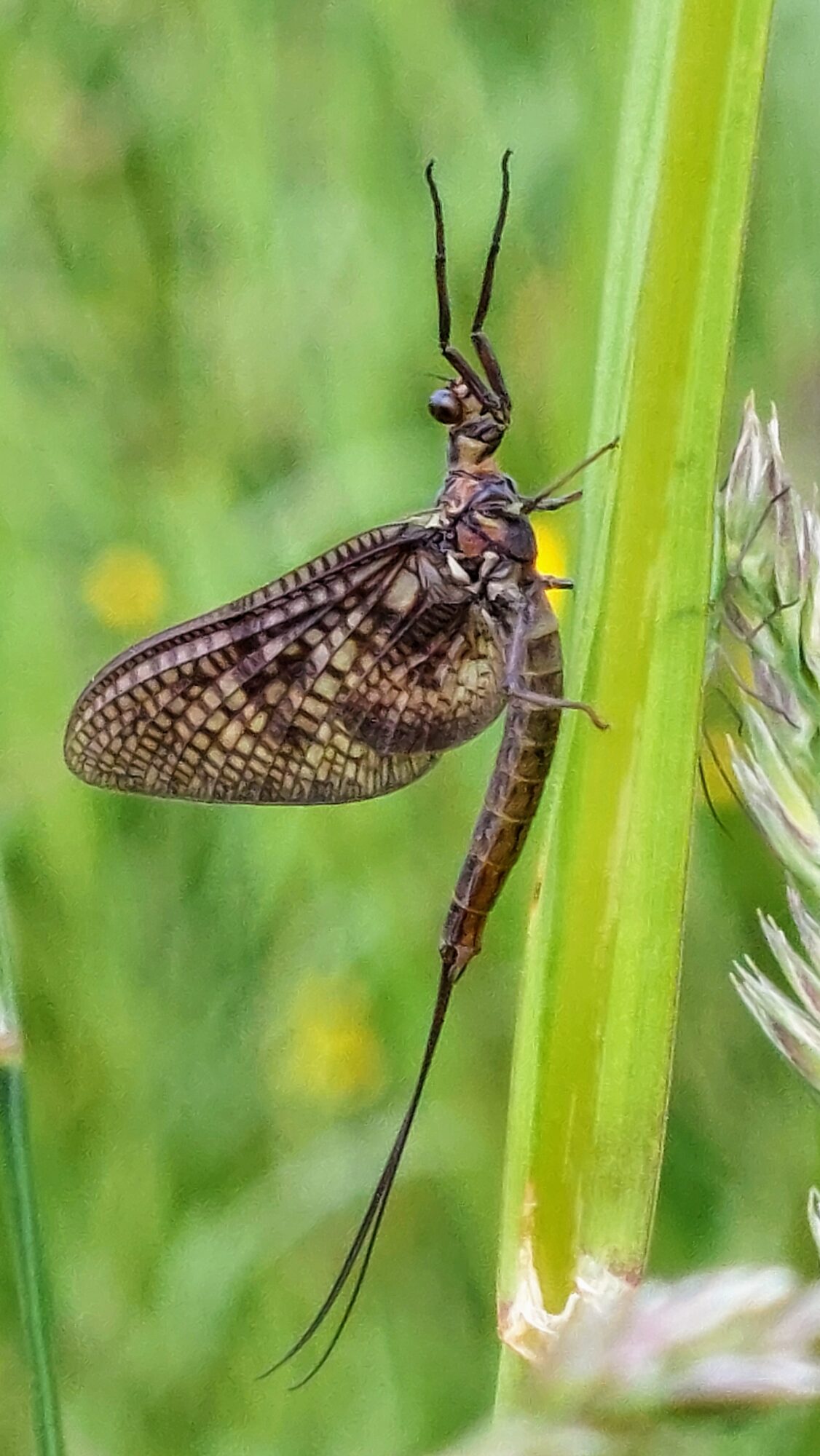 Valokuvaaja: Tarja Naukkarinen