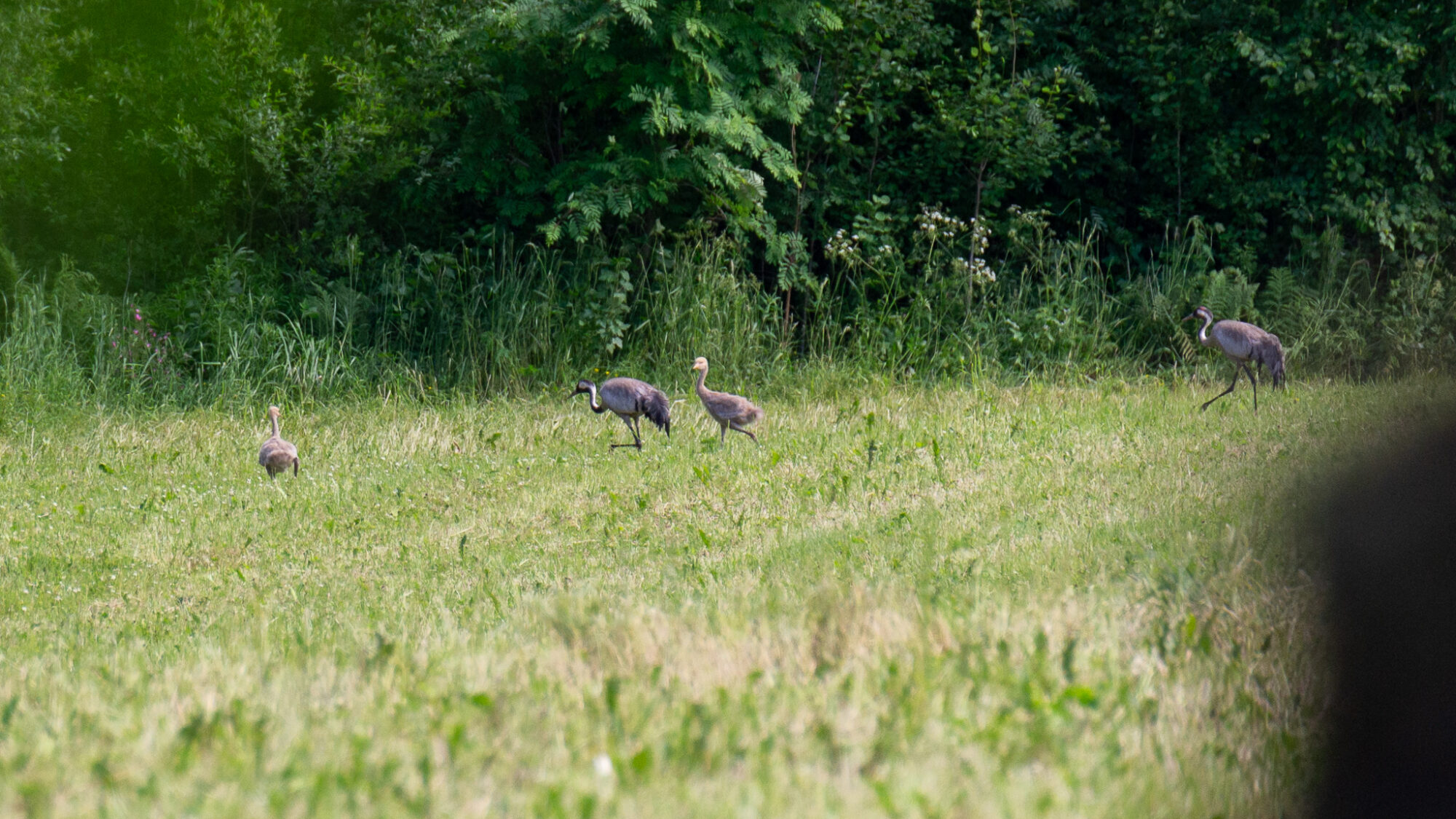 Valokuvaaja: Helena Minkkilä