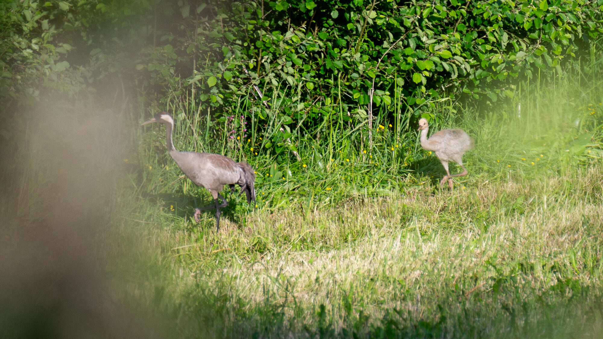 Valokuvaaja: Helena Minkkilä