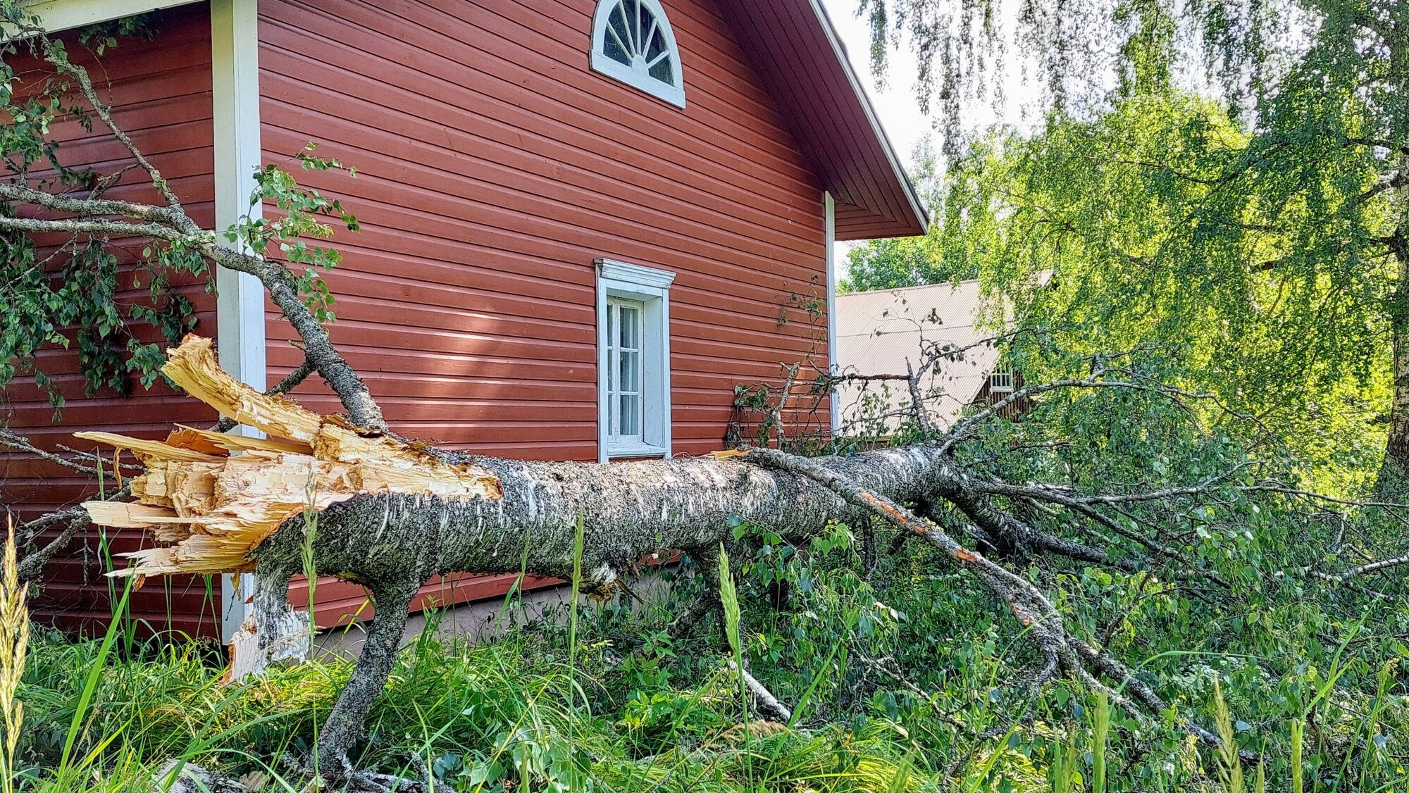 Valokuvaaja: Tarja Naukkarinen