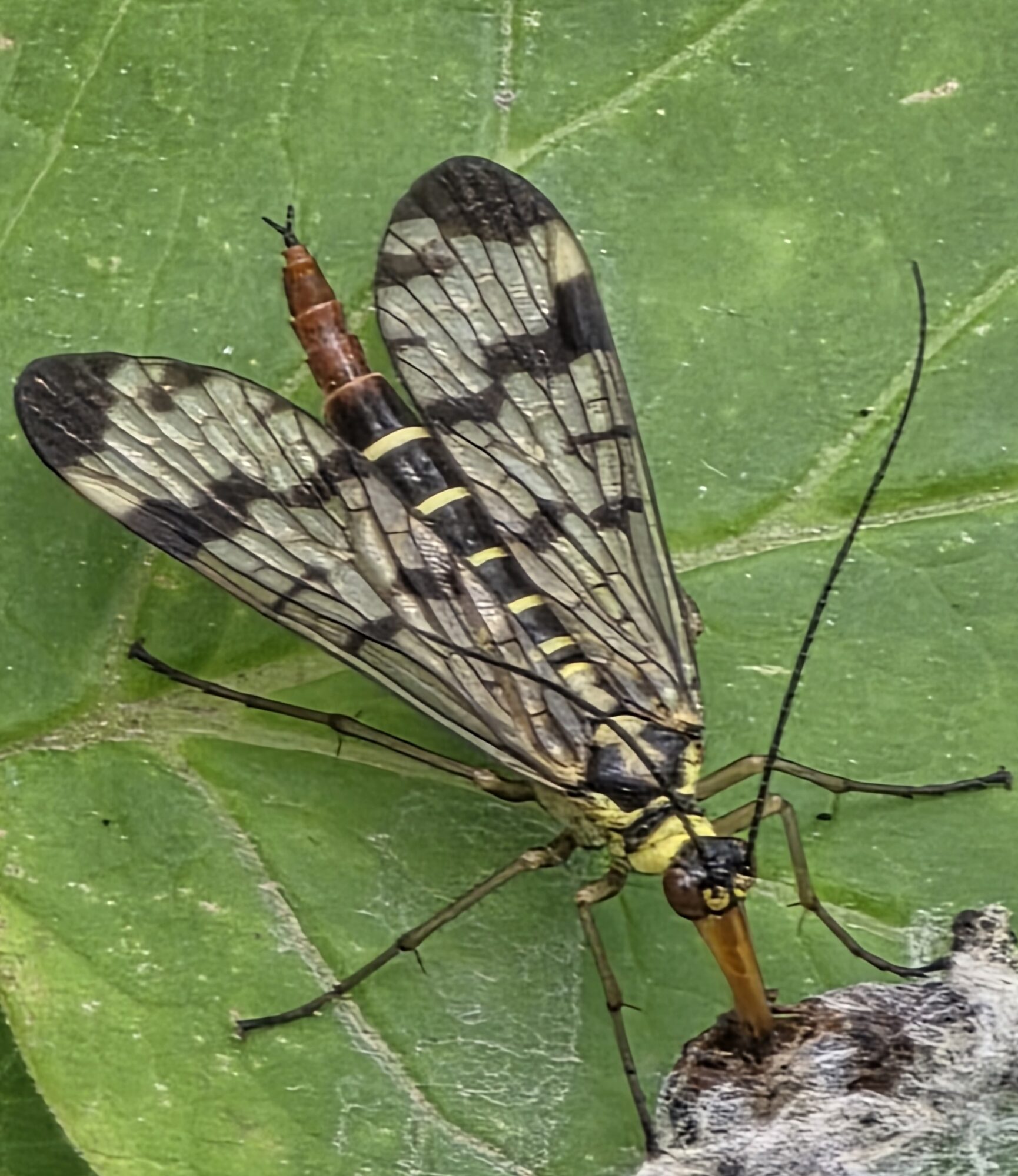Valokuvaaja: Jukka Veijola