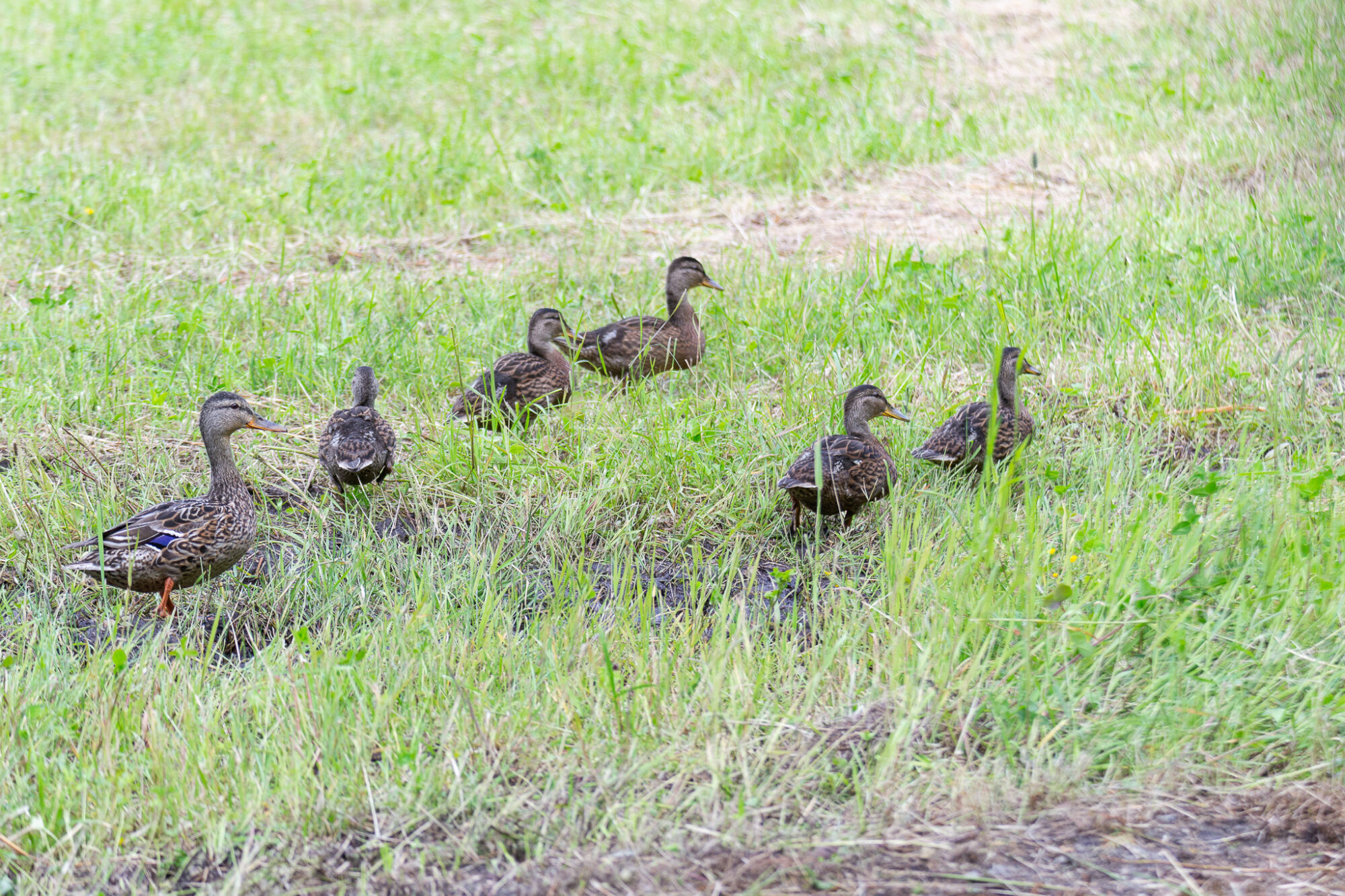 Valokuvaaja: Helena Minkkilä