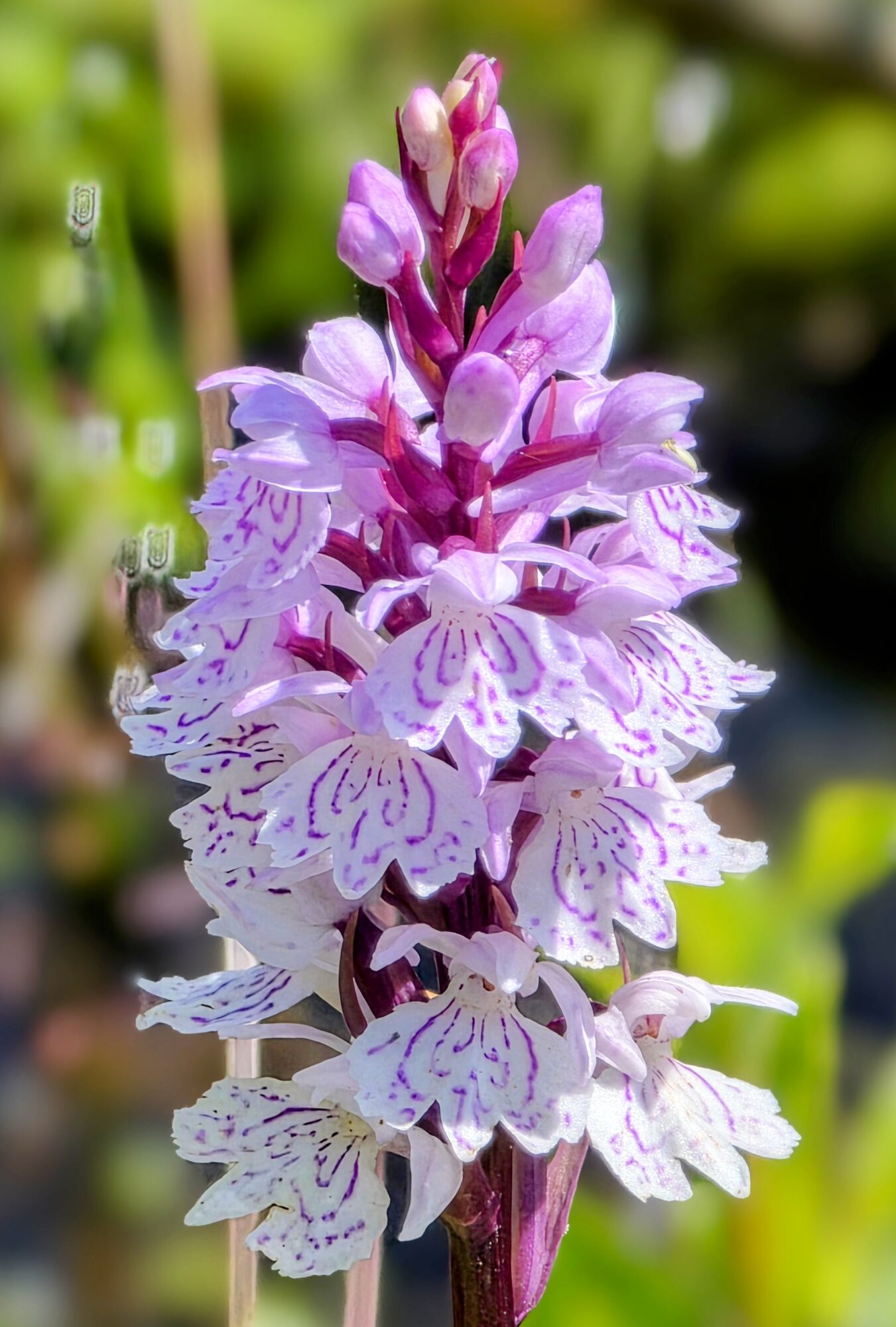 Valokuvaaja: Jukka Veijola