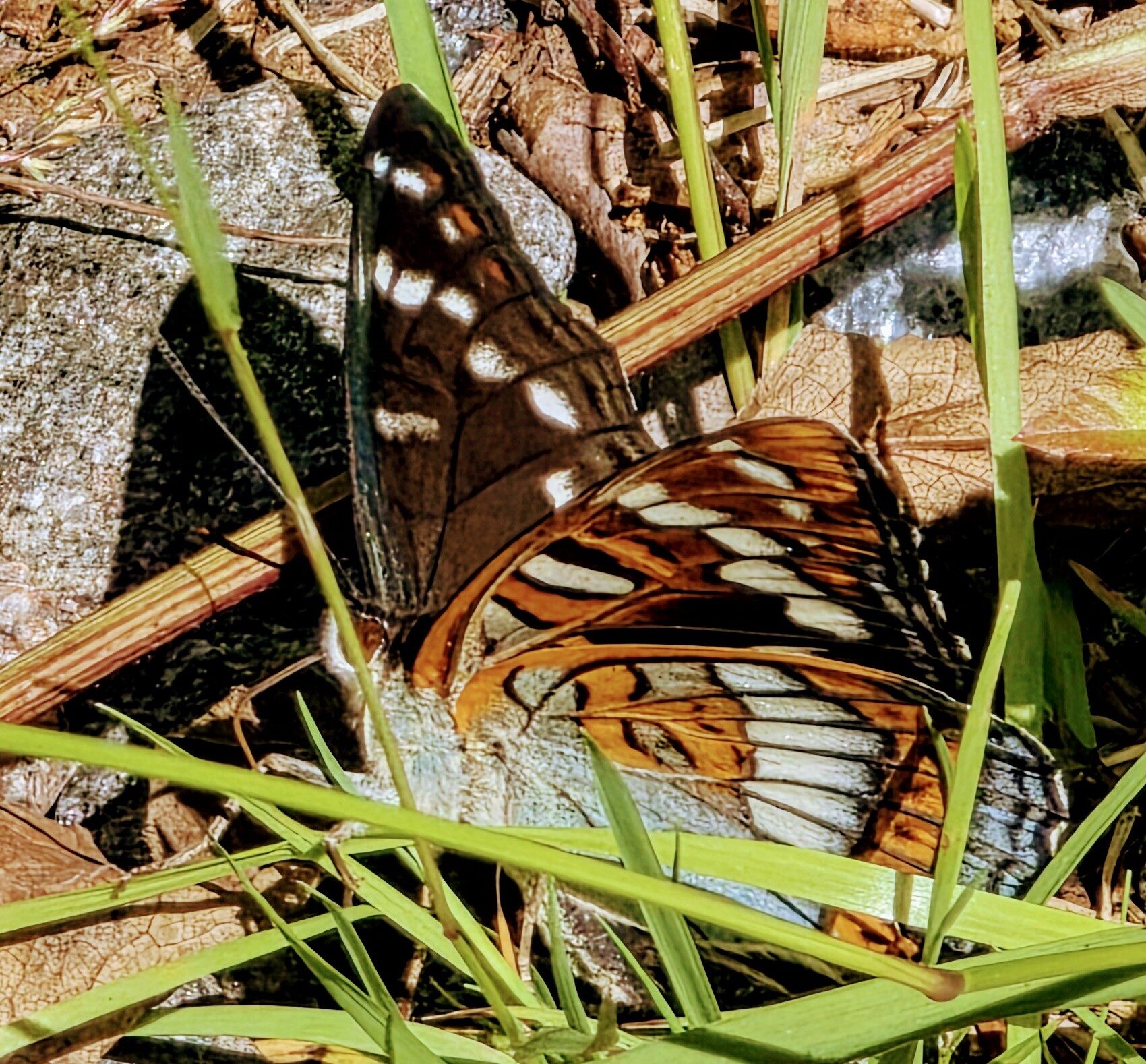 Valokuvaaja: Jukka Veijola