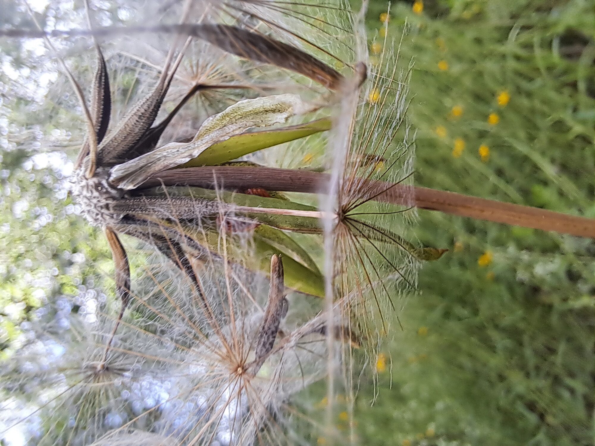 Valokuvaaja: Irja Lehtinen