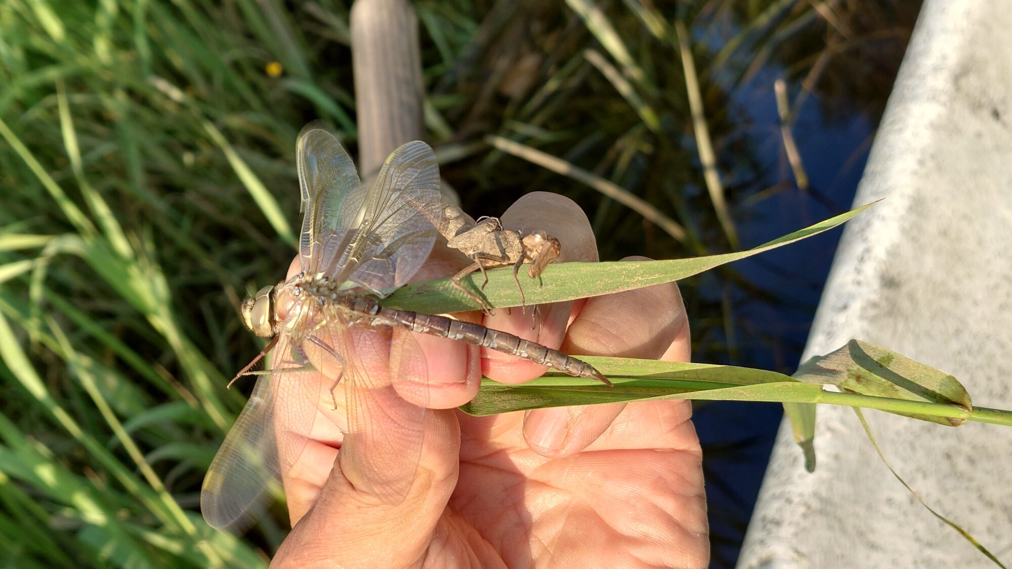 Valokuvaaja: Jouni Roppola