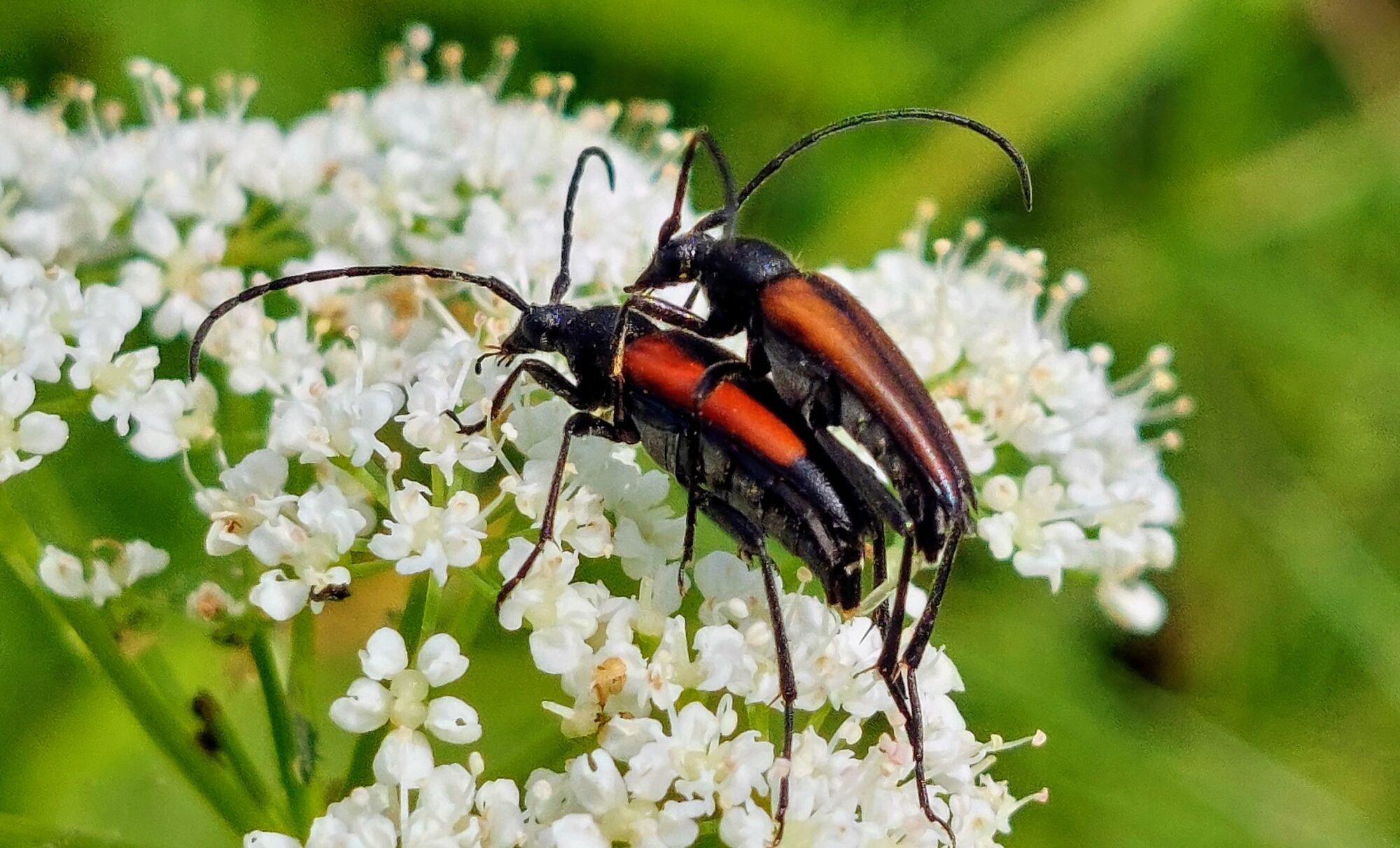 Valokuvaaja: Tarja Naukkarinen