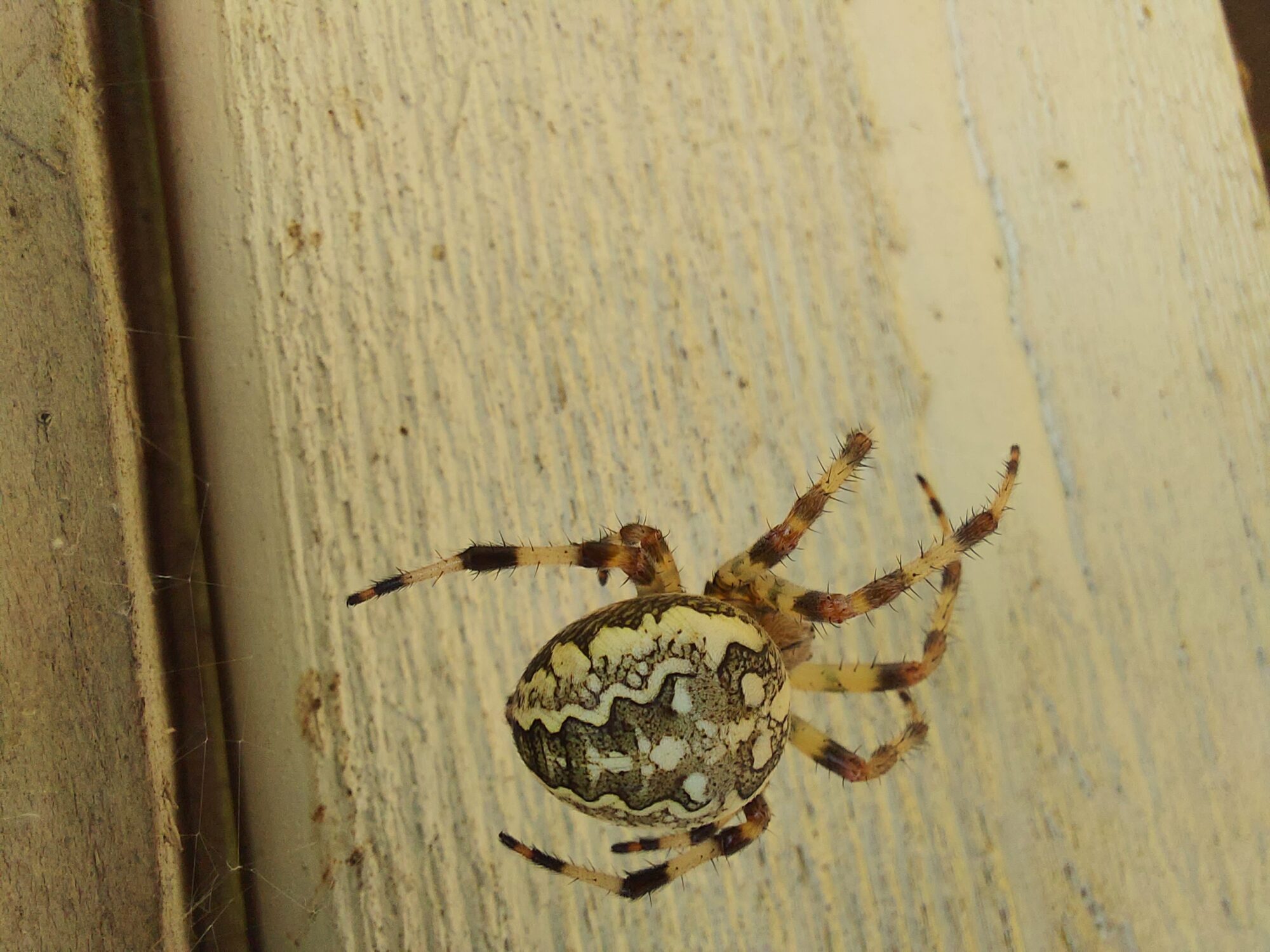 Valokuvaaja: Martti Perätalo