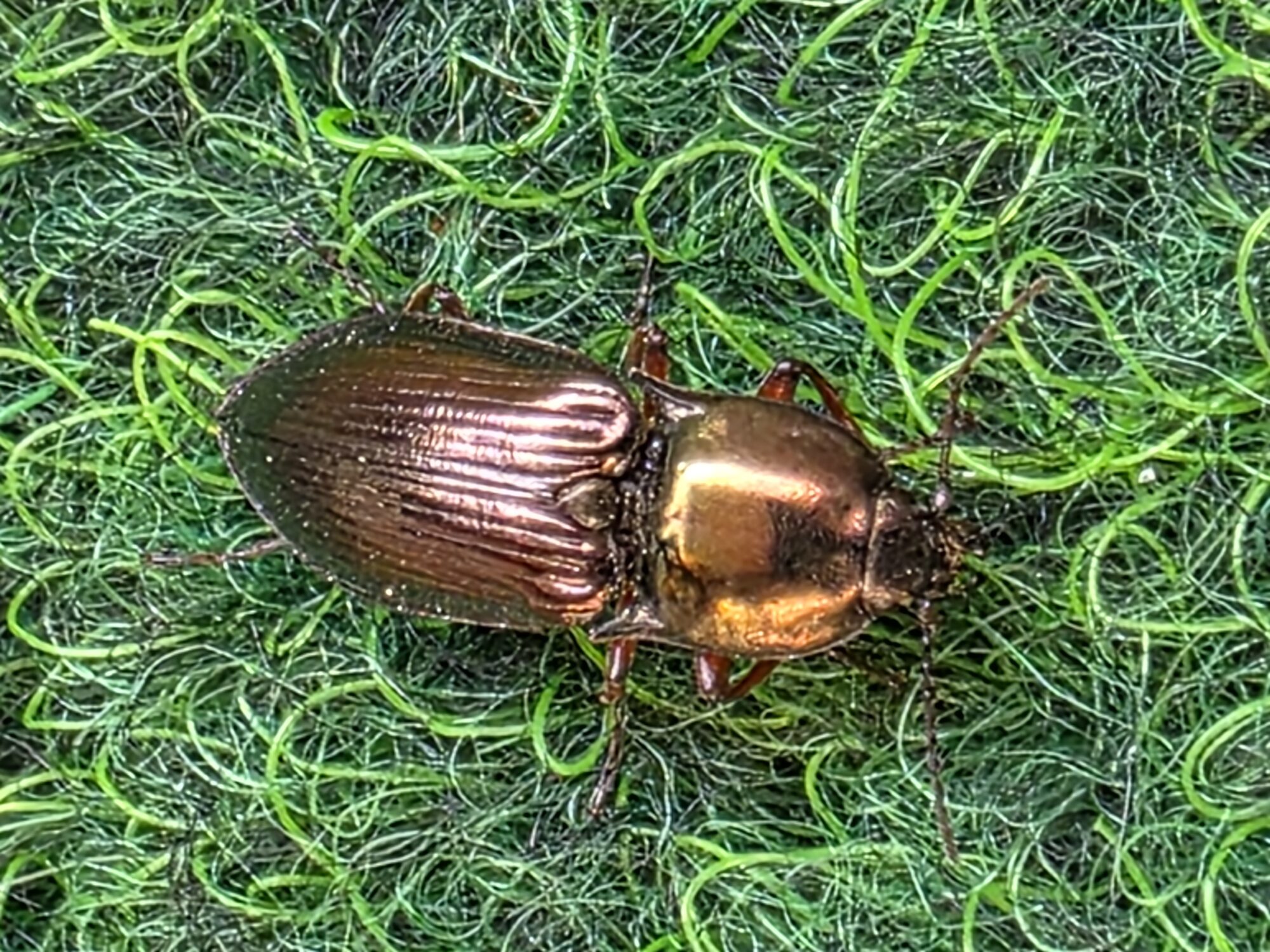 Valokuvaaja: Jukka Veijola