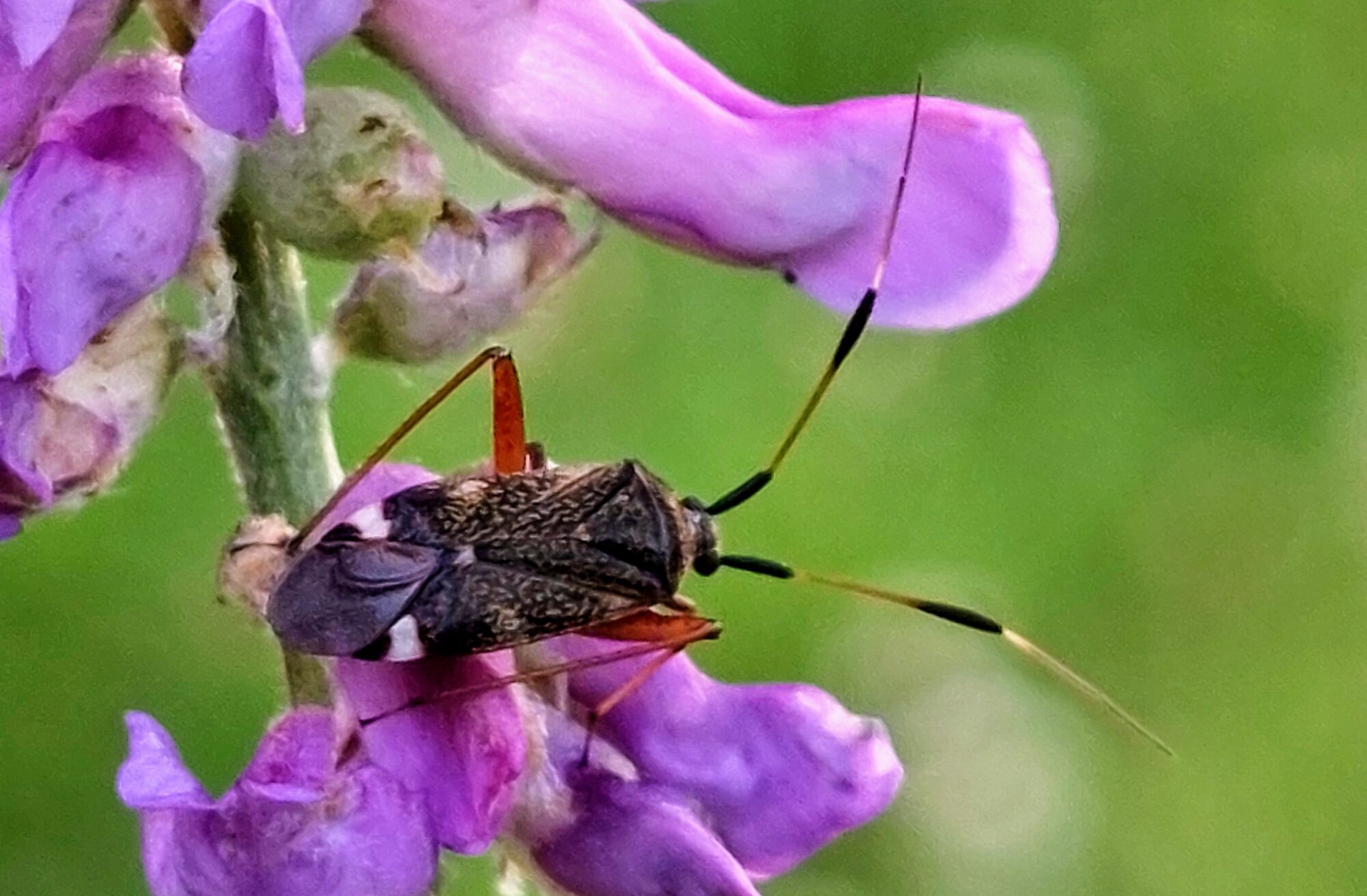 Valokuvaaja: Tarja Naukkarinen