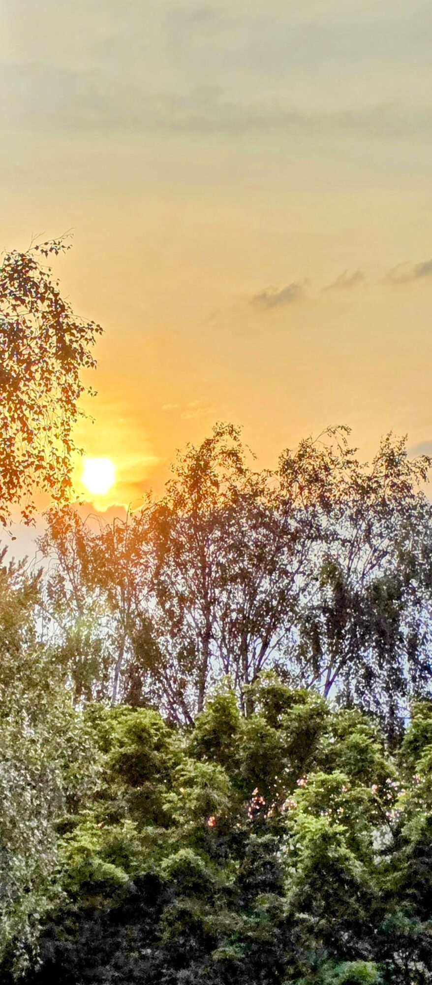 Valokuvaaja: Jukka Veijola