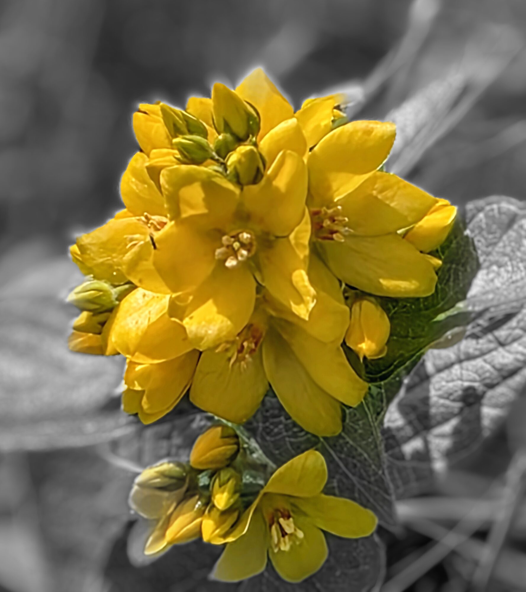 Valokuvaaja: Jukka Veijola Valokuvaaja: Jukka Veijola