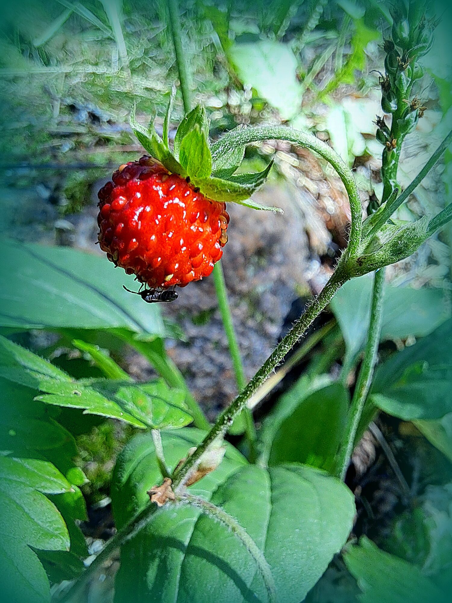 Valokuvaaja: Irja Lehtinen