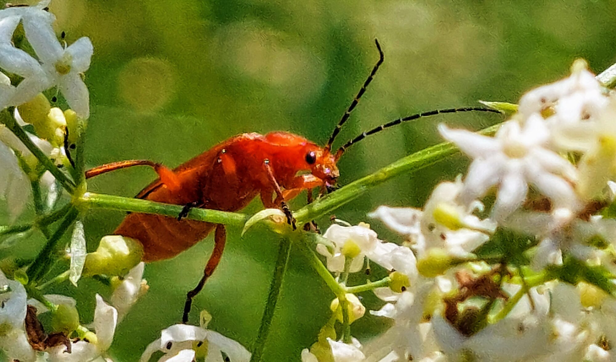 Valokuvaaja: Tarja Naukkarinen