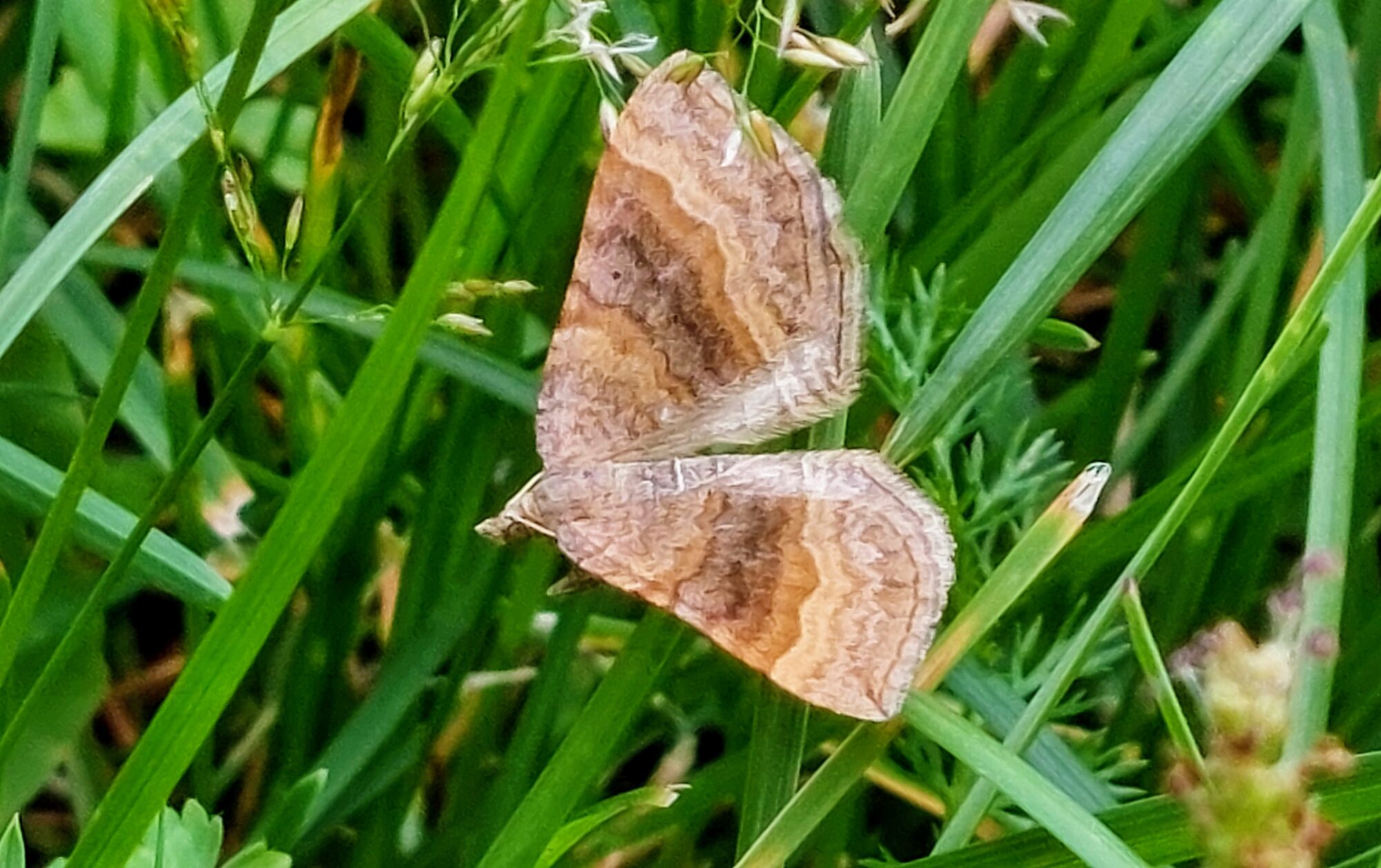 Valokuvaaja: Tarja Naukkarinen Valokuvaaja: Tarja Naukkarinen