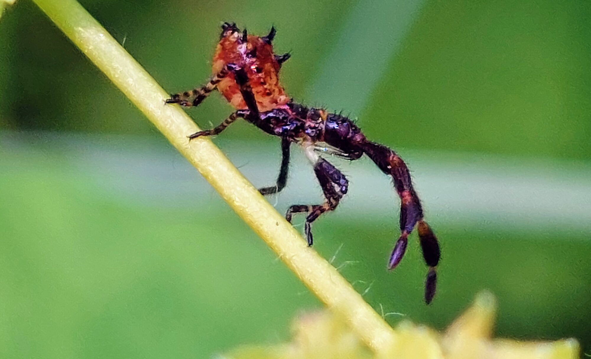 Valokuvaaja: Tarja Naukkarinen Valokuvaaja: Tarja Naukkarinen