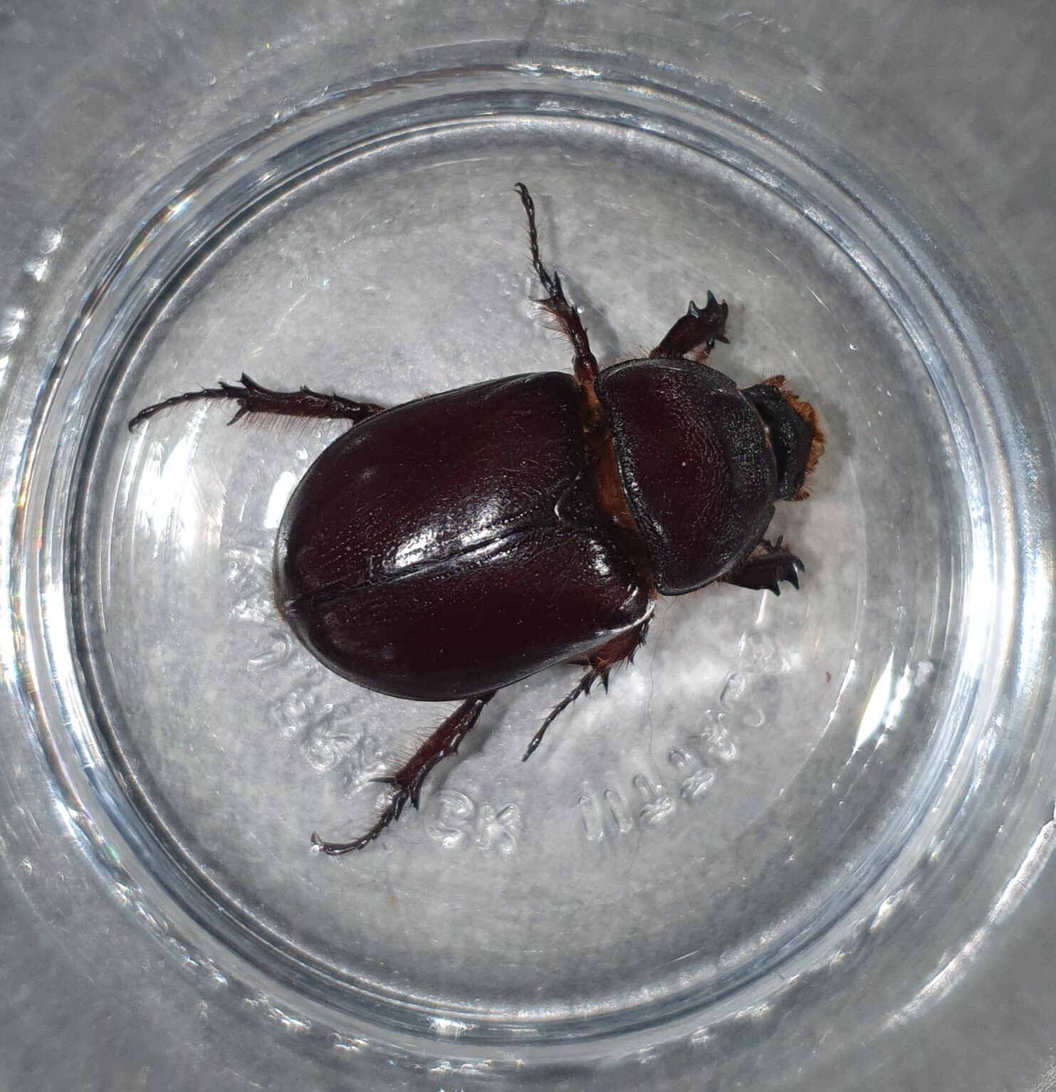 Valokuvaaja: Merja Hölttä Valokuvaaja: Merja Hölttä