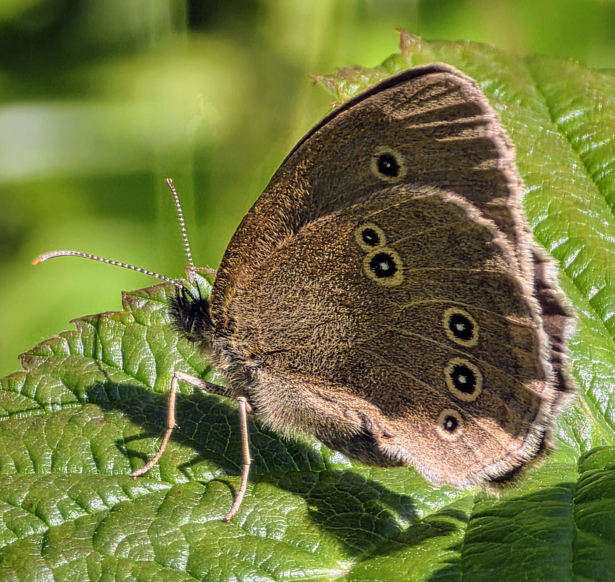 Valokuvaaja: Jukka Veijola