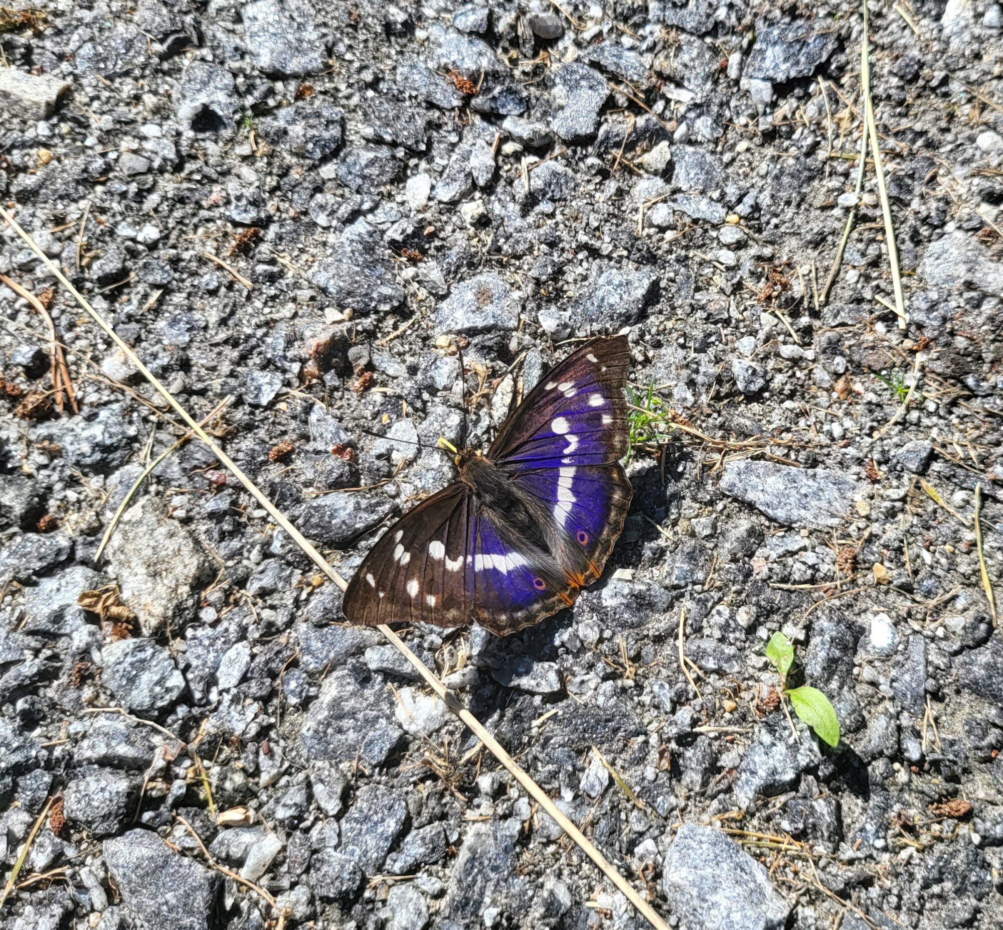 Valokuvaaja: Terhi Vainionpää