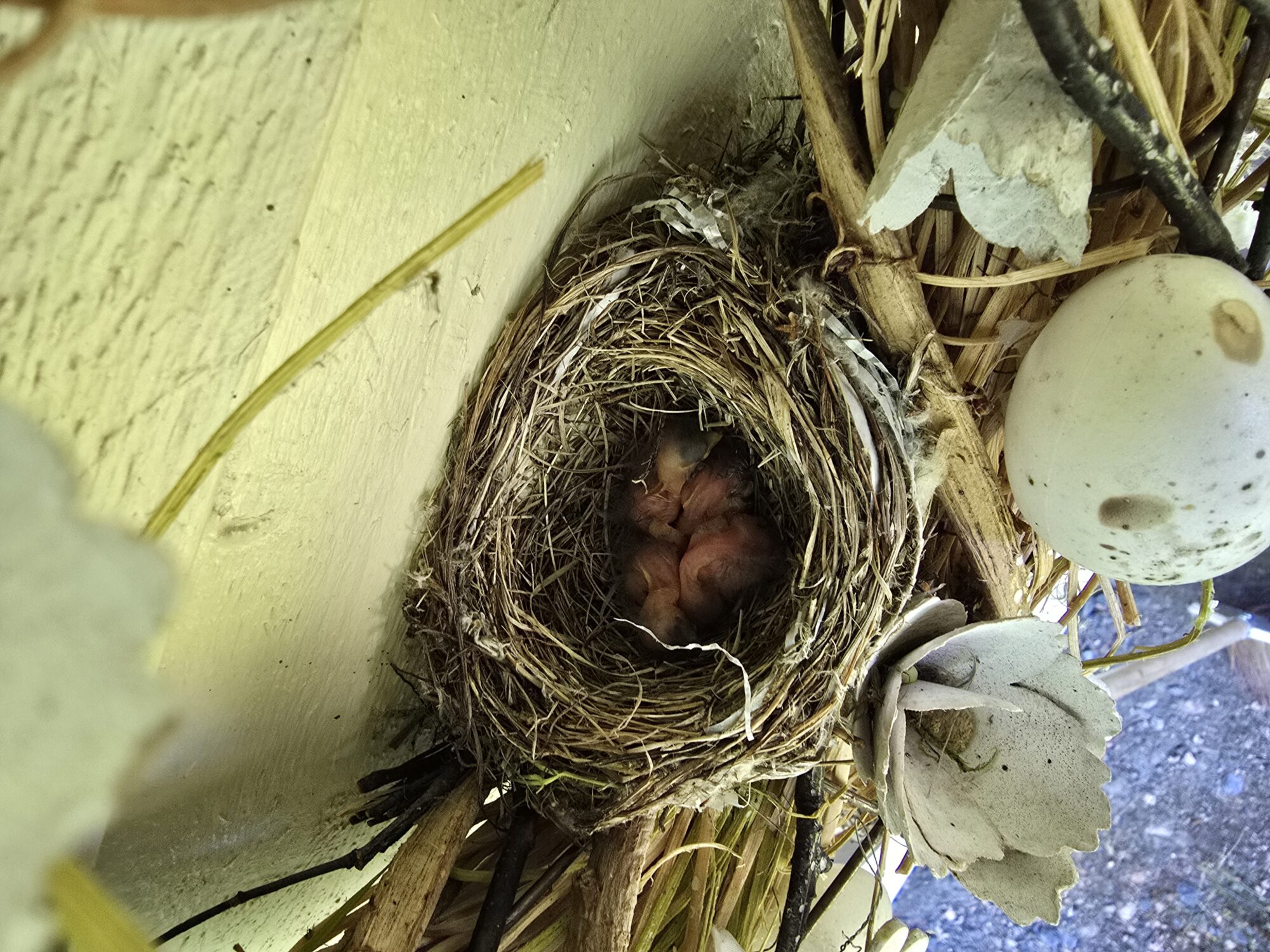 Valokuvaaja: Ilkka Launonen