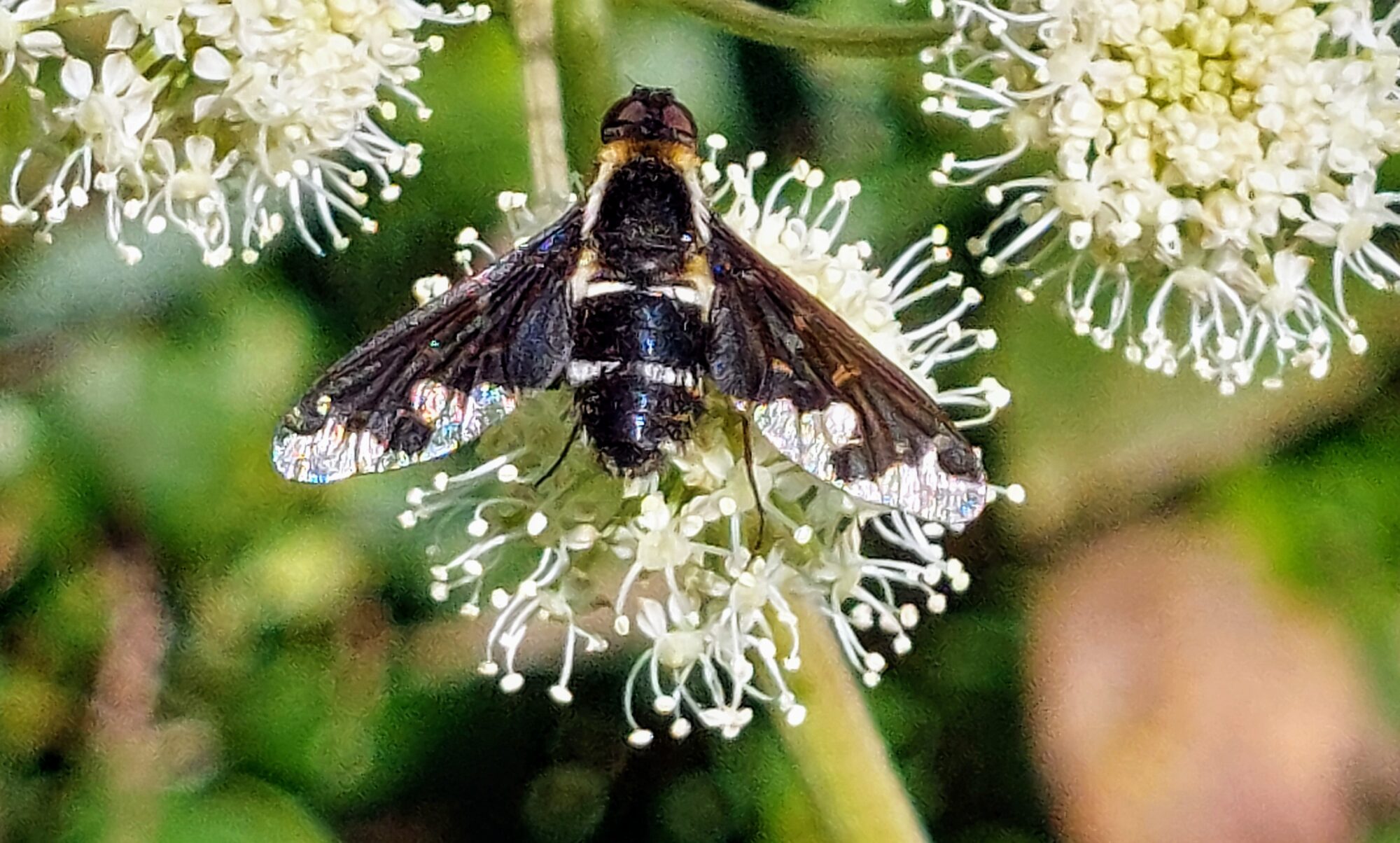 Valokuvaaja: Tarja Naukkarinen Valokuvaaja: Tarja Naukkarinen