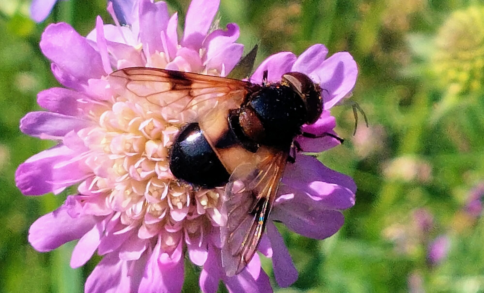 Valokuvaaja: Tarja Naukkarinen Valokuvaaja: Tarja Naukkarinen