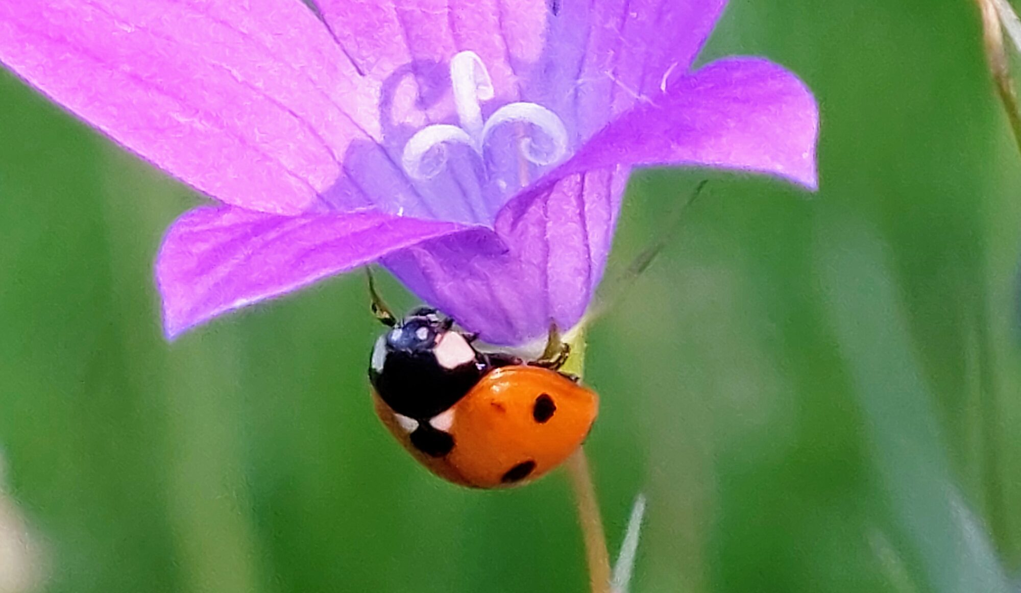 Valokuvaaja: Tarja Naukkarinen Valokuvaaja: Tarja Naukkarinen