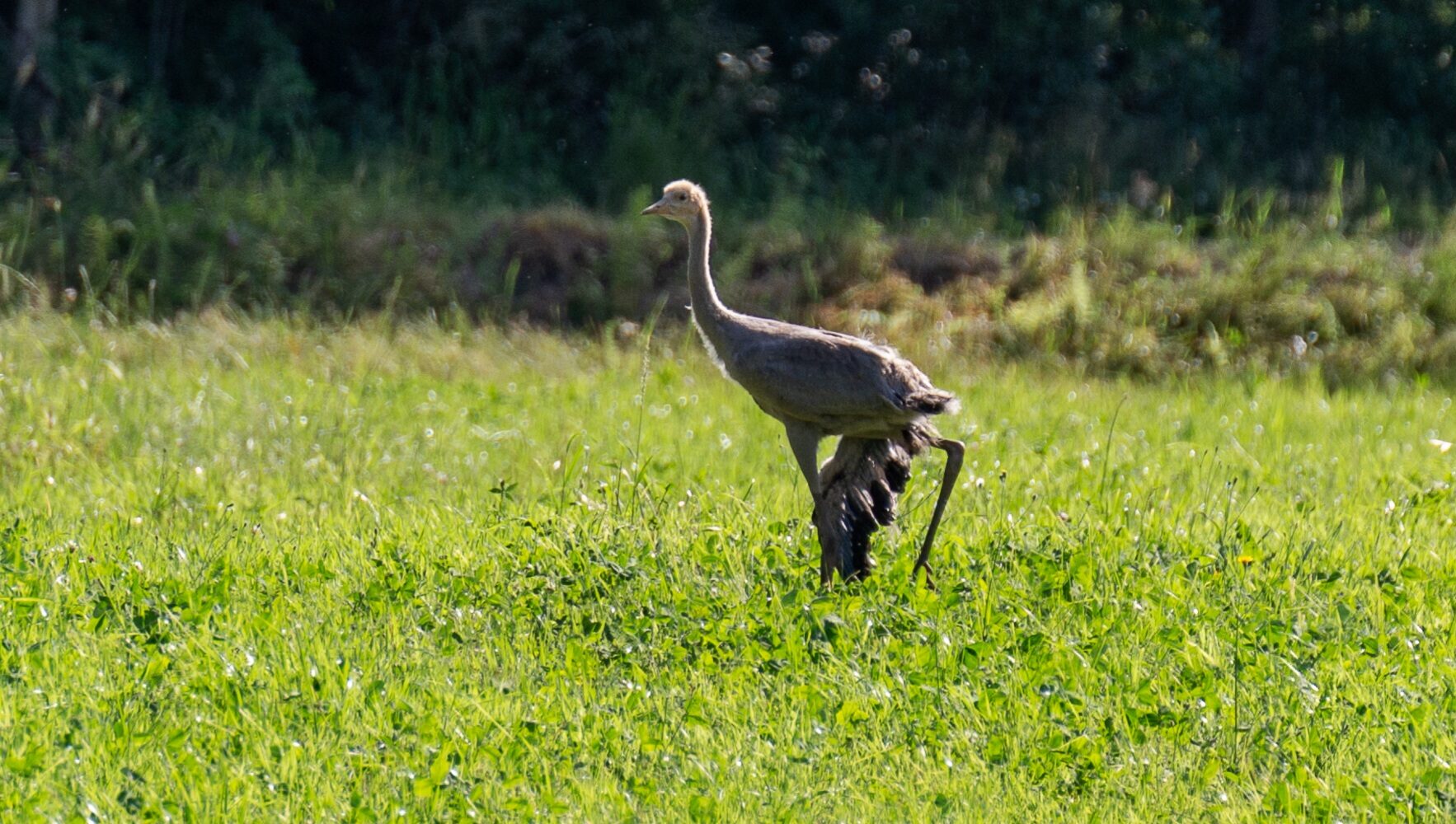 Valokuvaaja: Helena Minkkilä Valokuvaaja: Helena Minkkilä