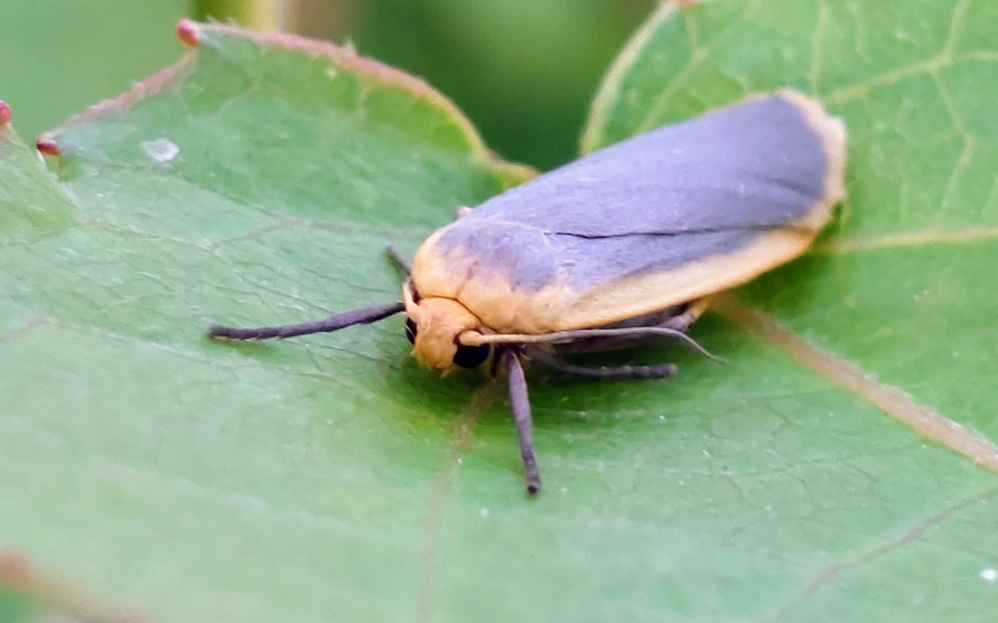 Valokuvaaja: Tarja Naukkarinen