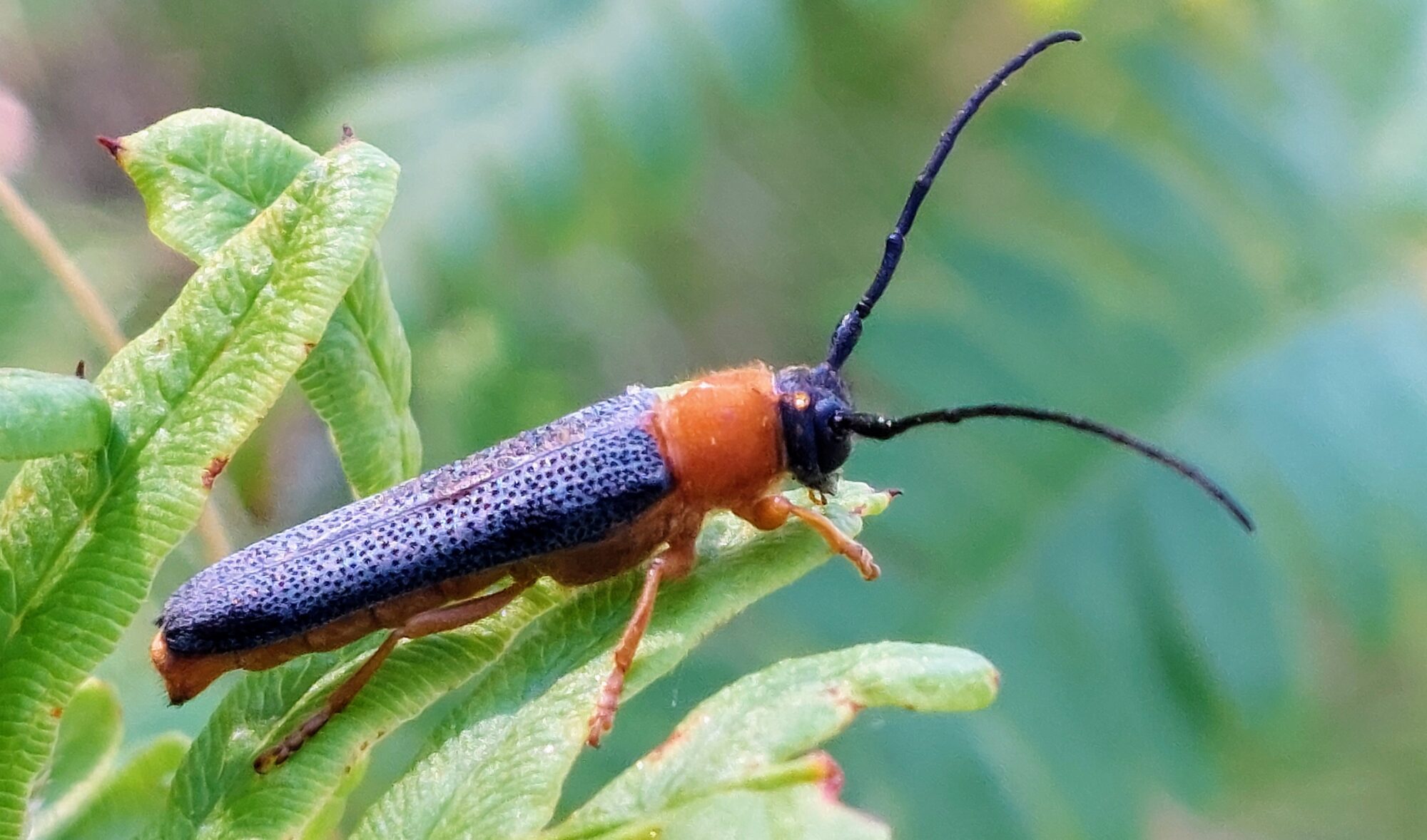 Valokuvaaja: Tarja Naukkarinen Valokuvaaja: Tarja Naukkarinen