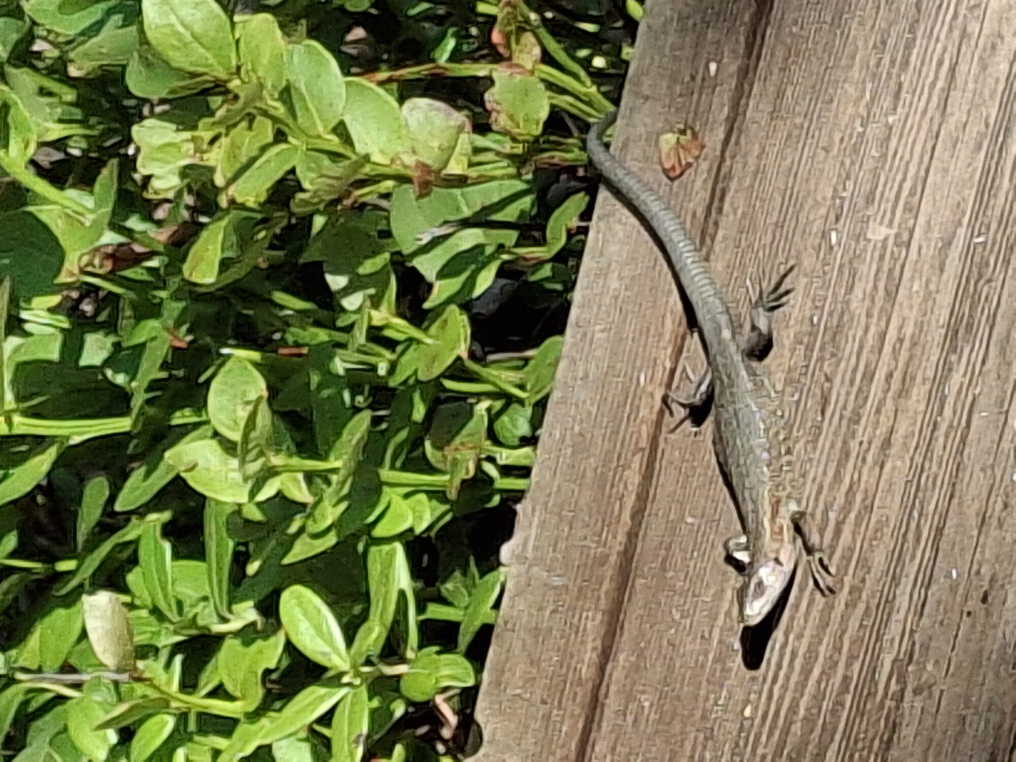 Valokuvaaja: Satu Suuntala