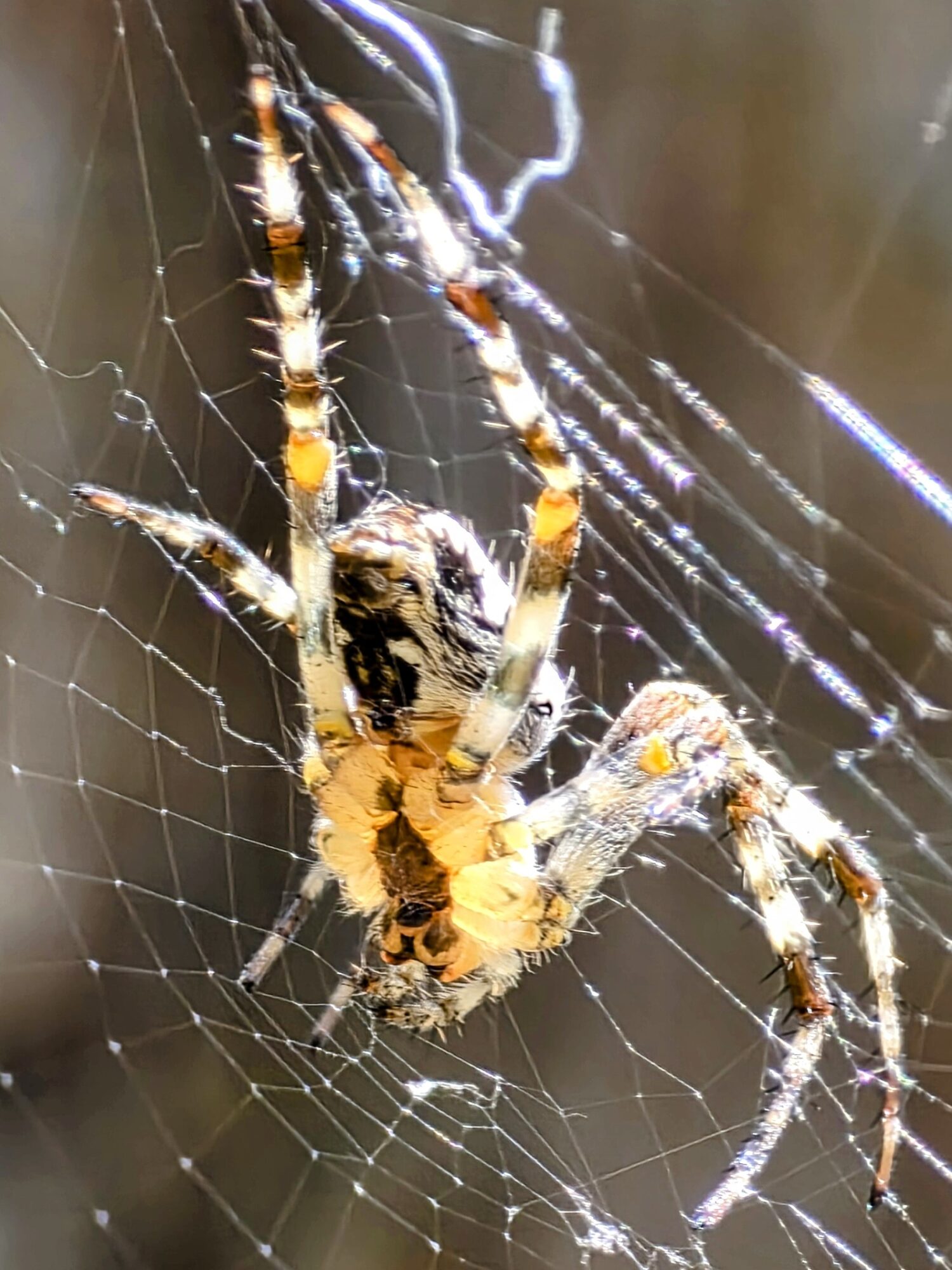 Valokuvaaja: Jukka Veijola Valokuvaaja: Jukka Veijola