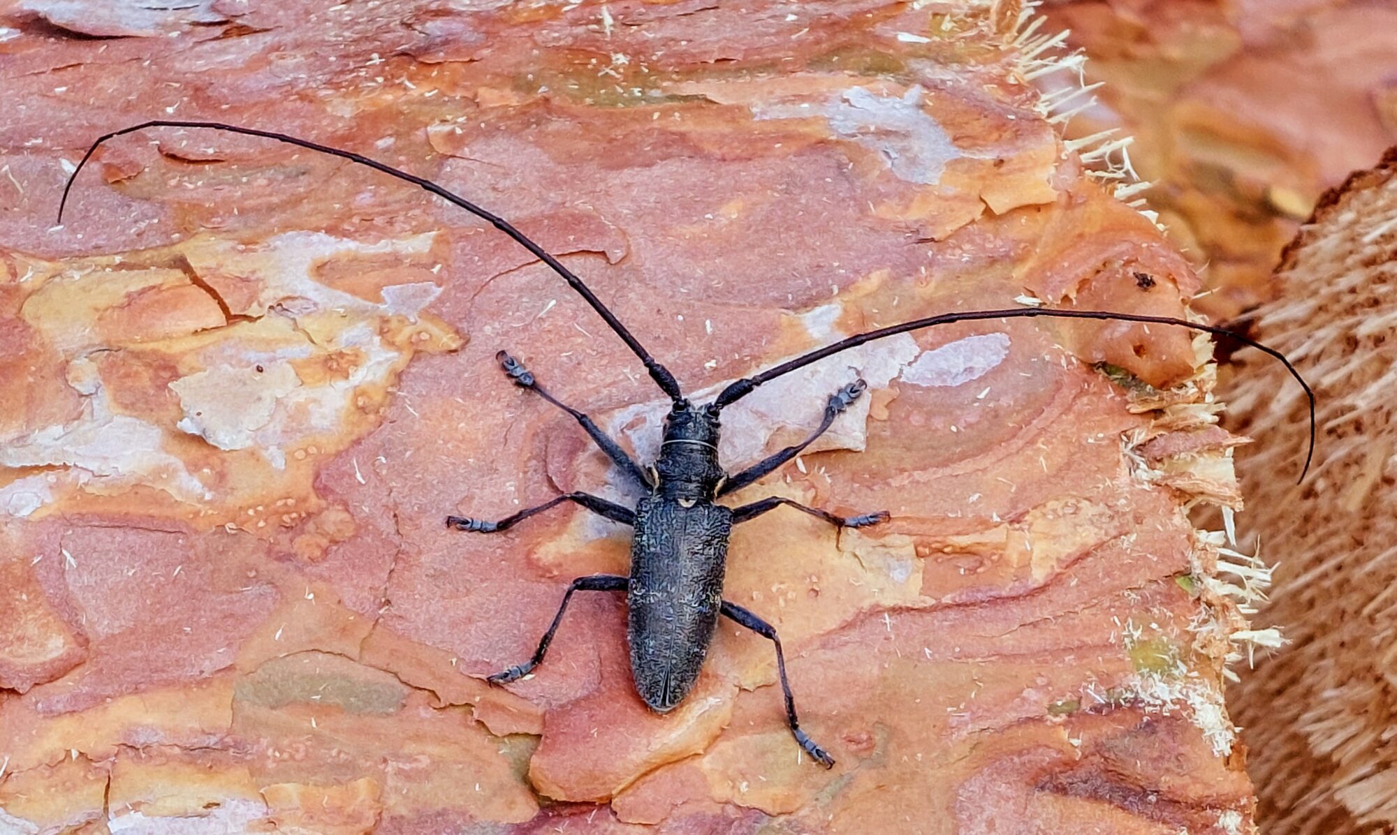 Valokuvaaja: Tarja Naukkarinen