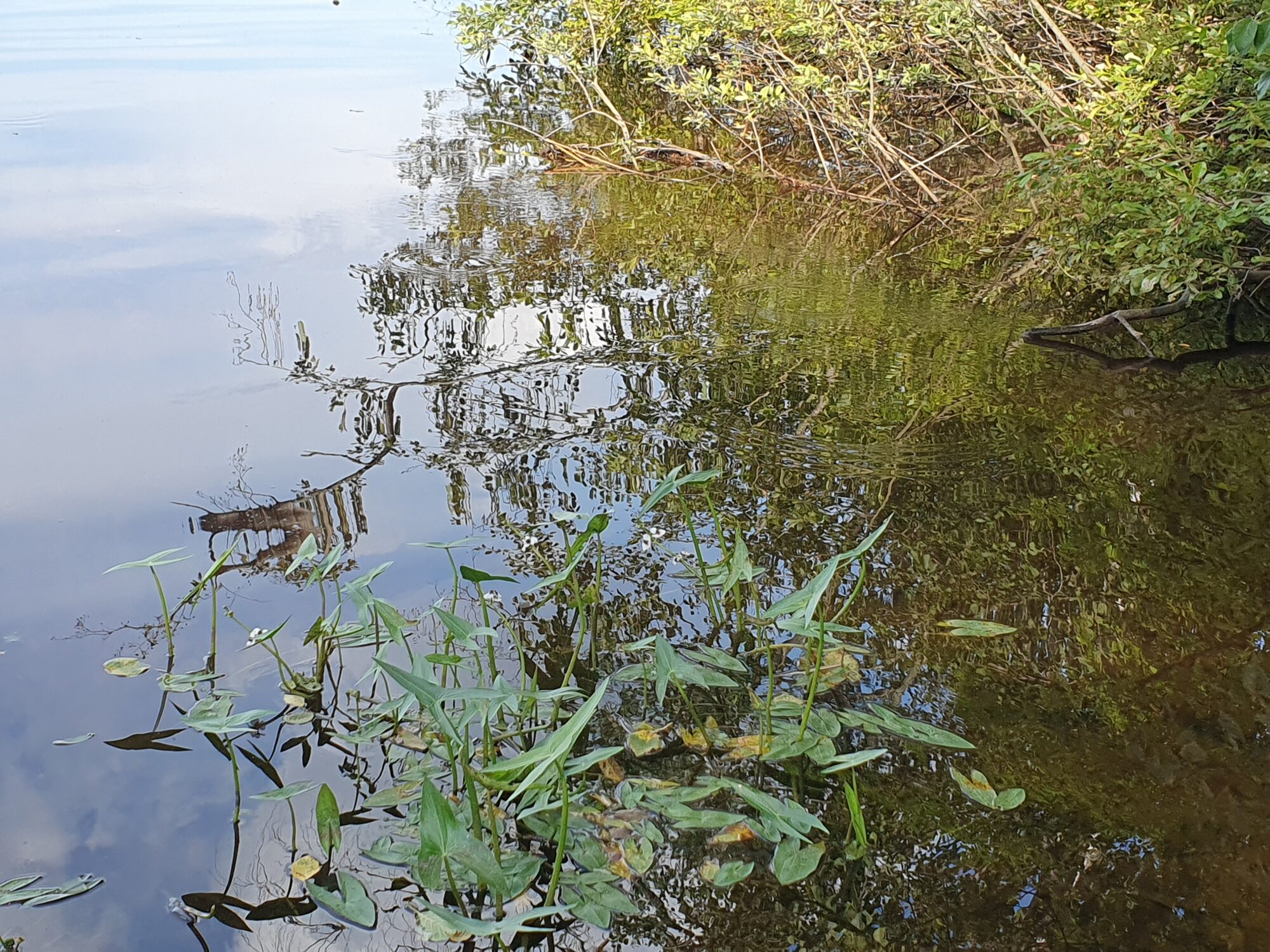 Valokuvaaja: Pirkko Tuulihovi