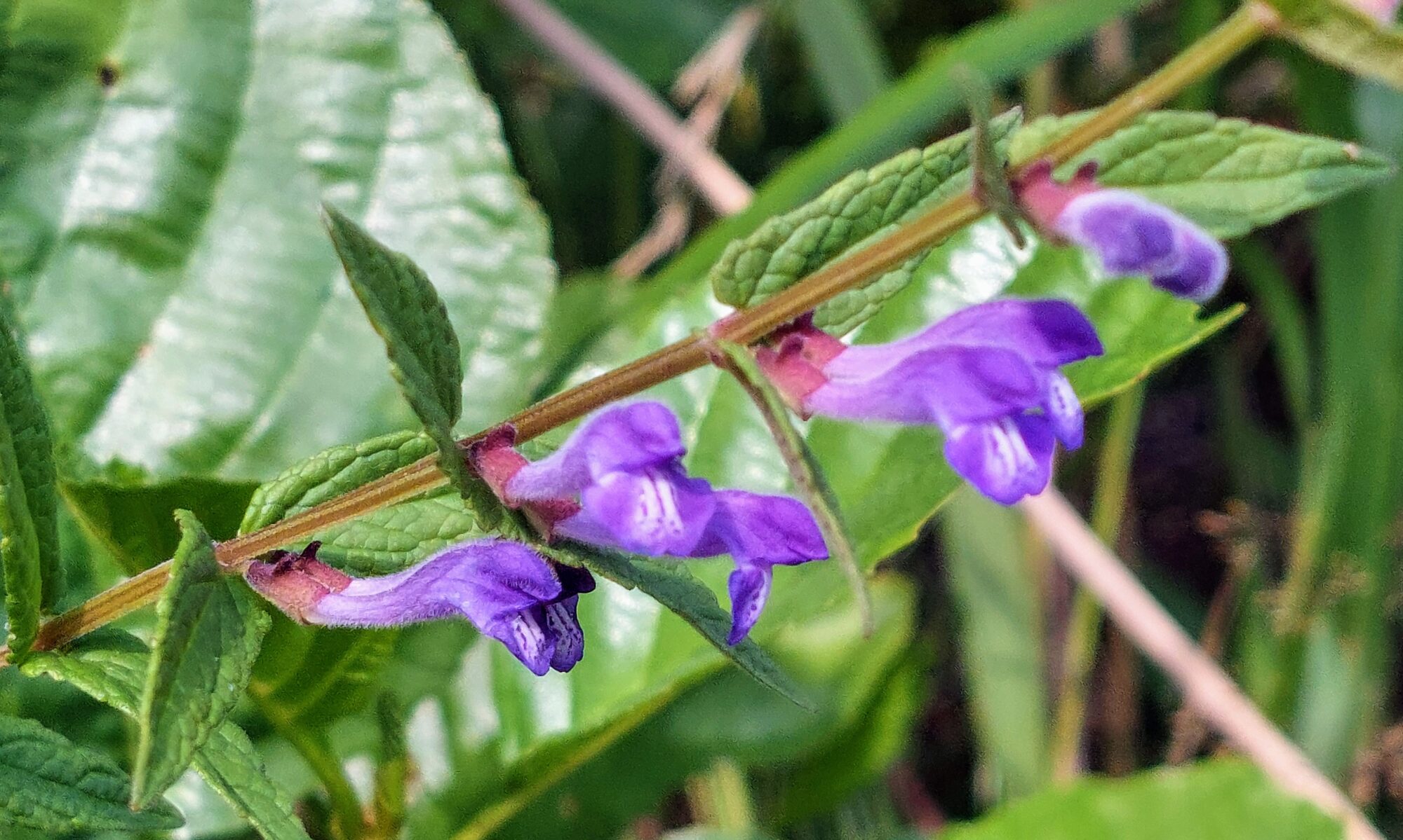Valokuvaaja: Tarja Naukkarinen