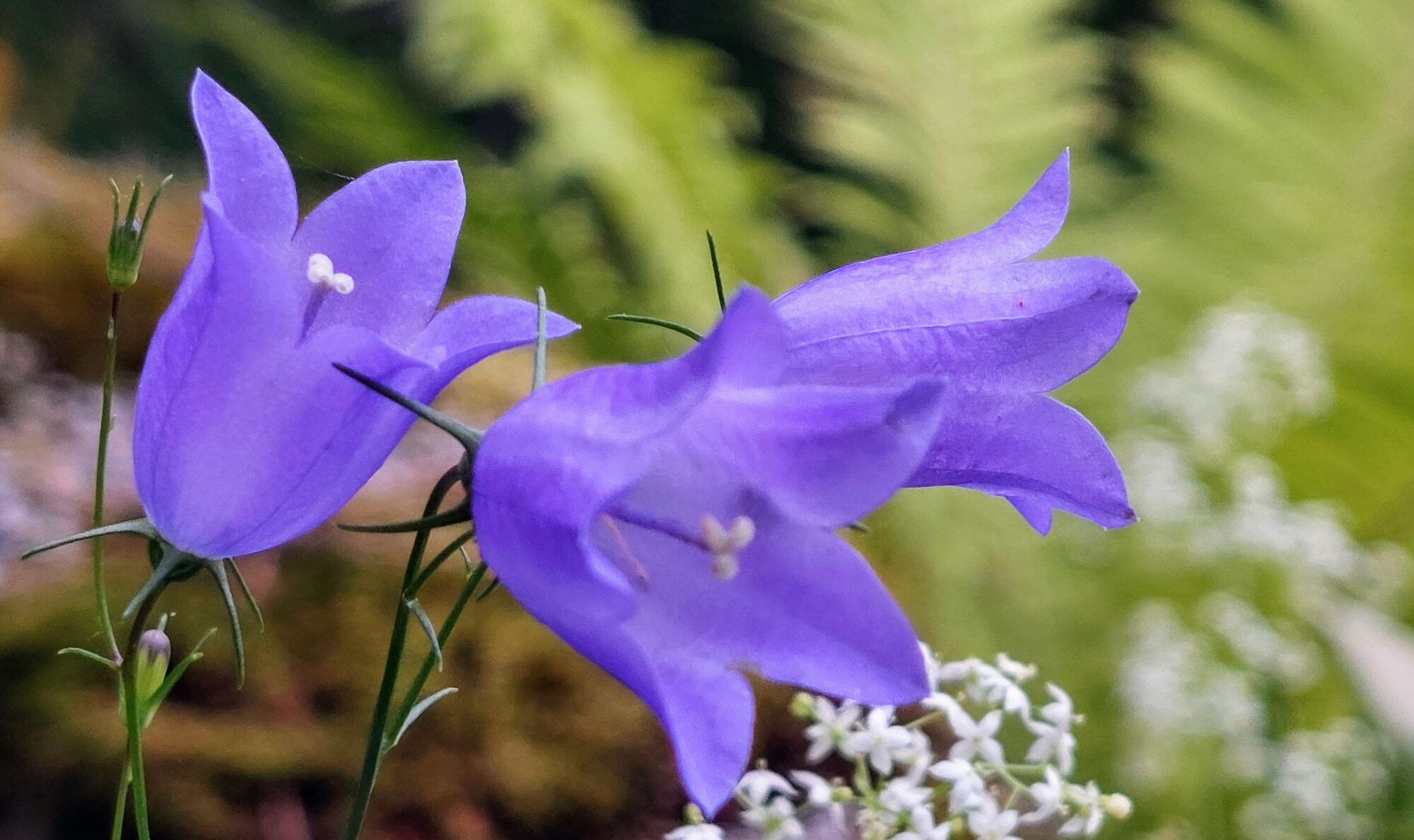 Valokuvaaja: Tarja Naukkarinen