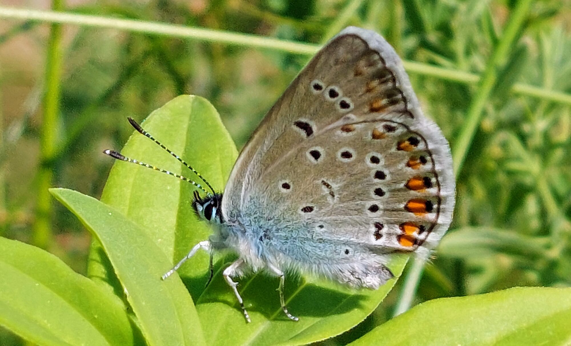 Valokuvaaja: Tarja Naukkarinen