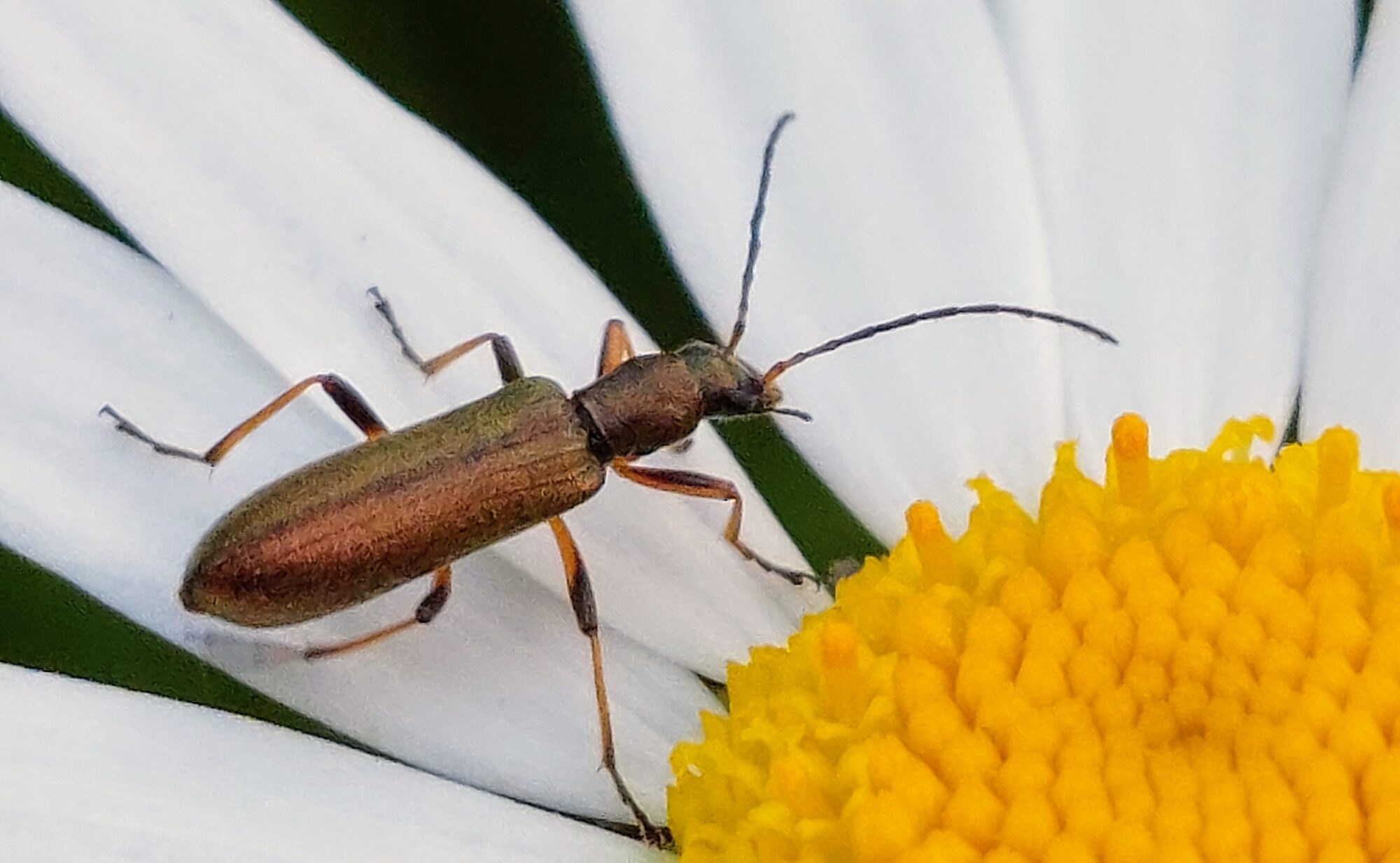 Valokuvaaja: Tarja Naukkarinen